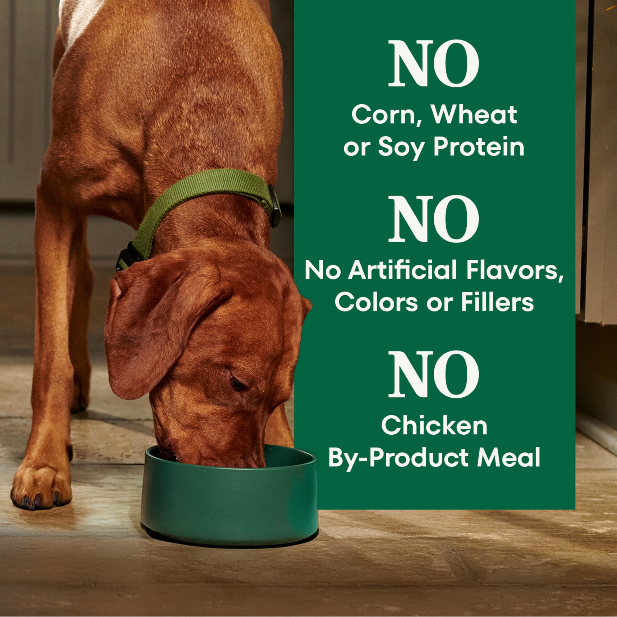 aafco victor dog food VICTOR Performance Dry Dog Food - Fort Worth, TX main image 1
