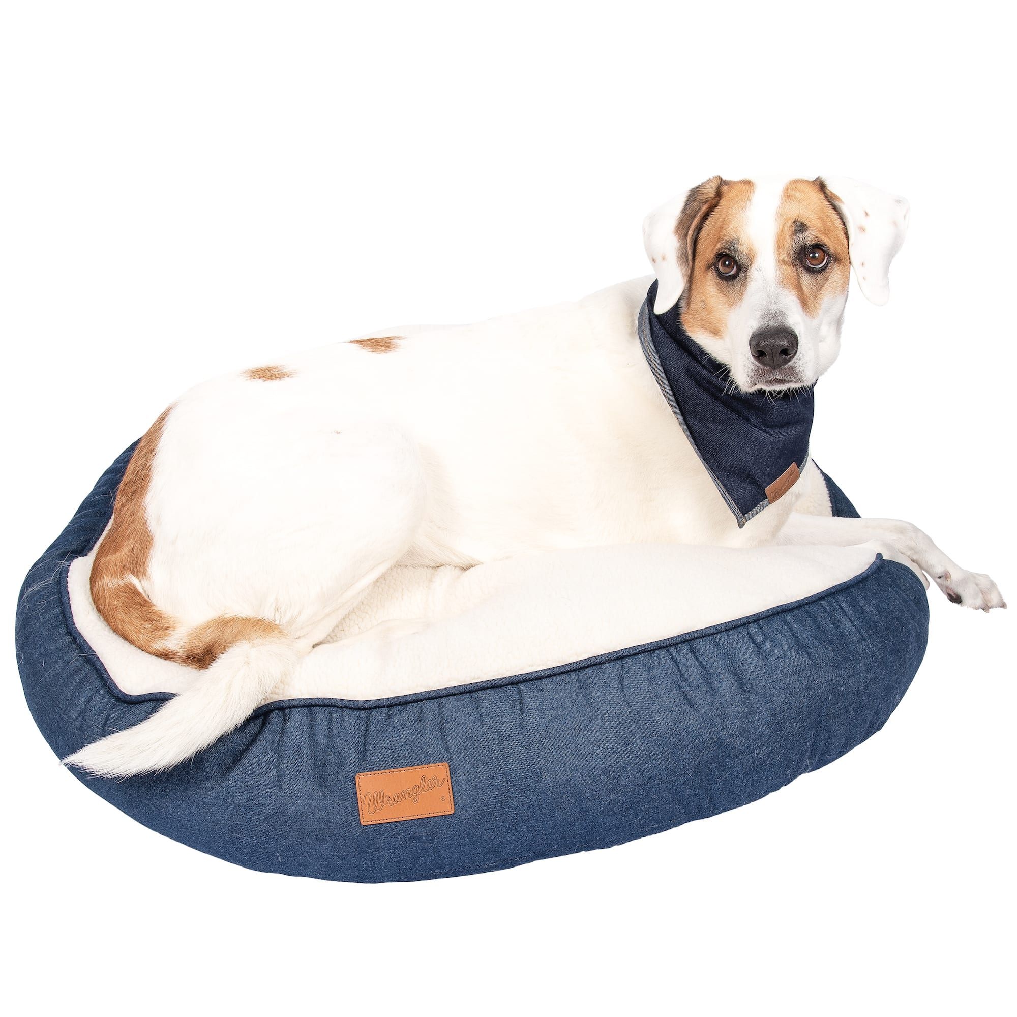 Petco dog bed coupon hotsell