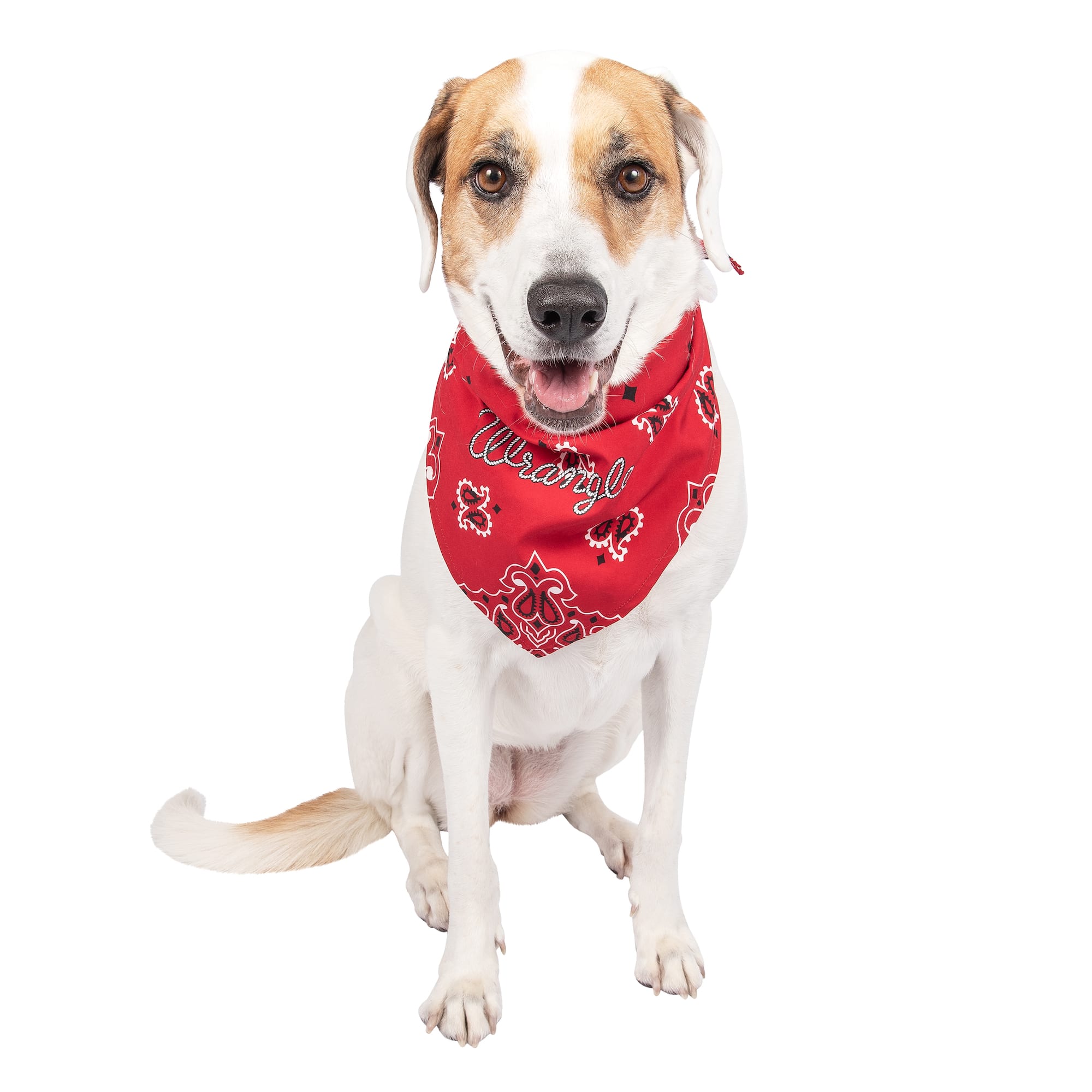 Wrangler Paisley Bandana Dog Apparel X Small Small Red Multi Petco