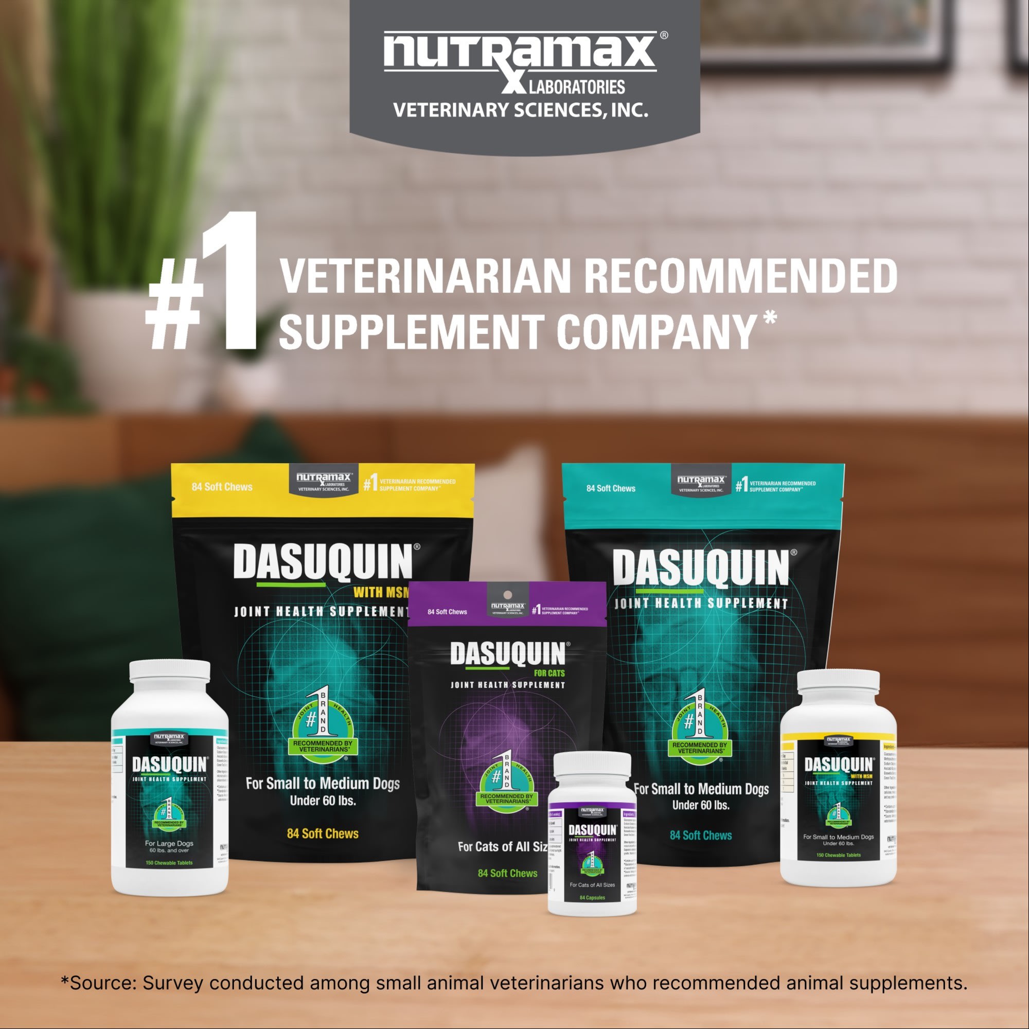 NUTRAMAX DASUQUIN Senior Joint Health Supplement Soft Chews for Large Dogs Count of 84 Petco