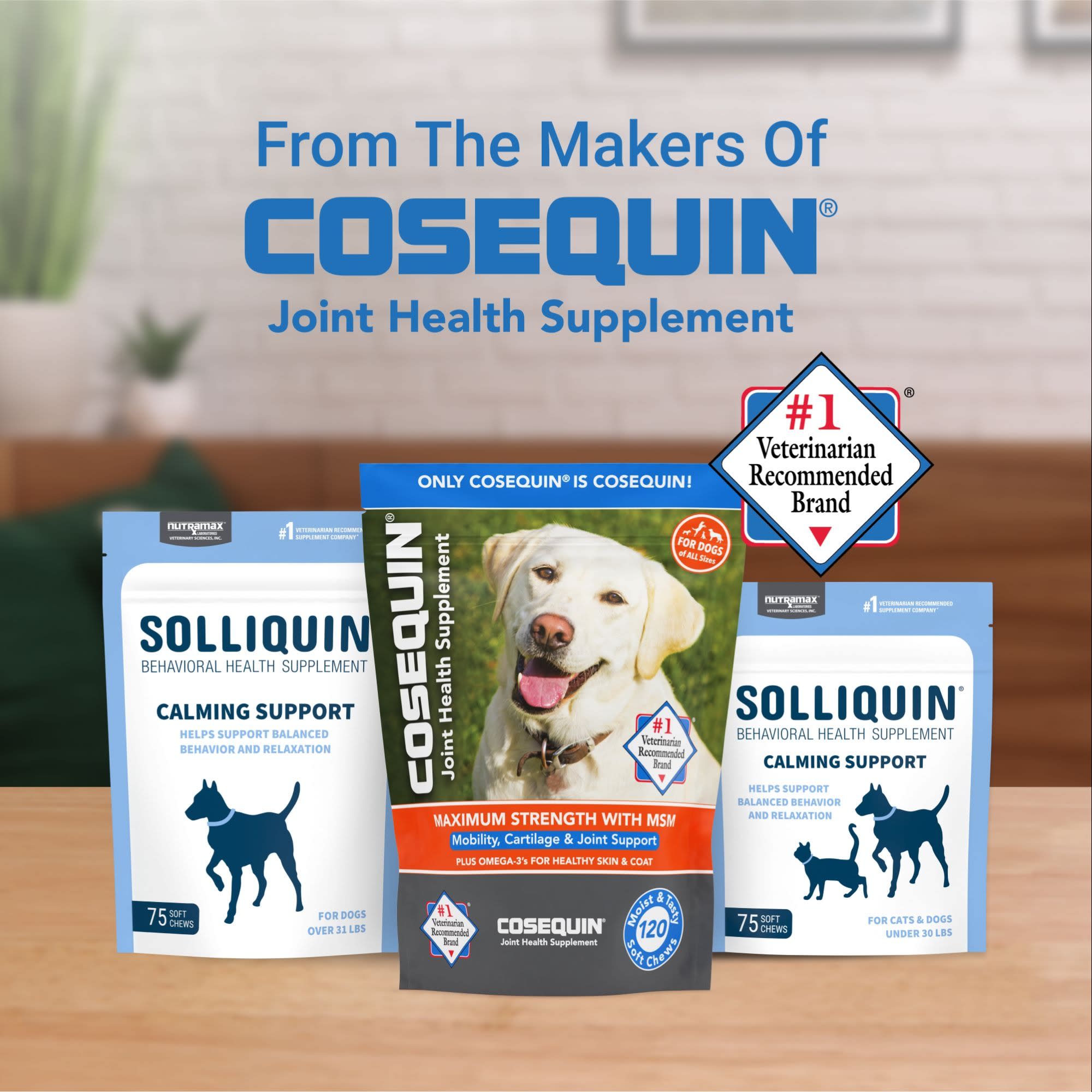 NUTRAMAX SOLLIQUIN Calming Behavioral Health Supplement Soft Chews for Large Dogs Count of 75 Petco