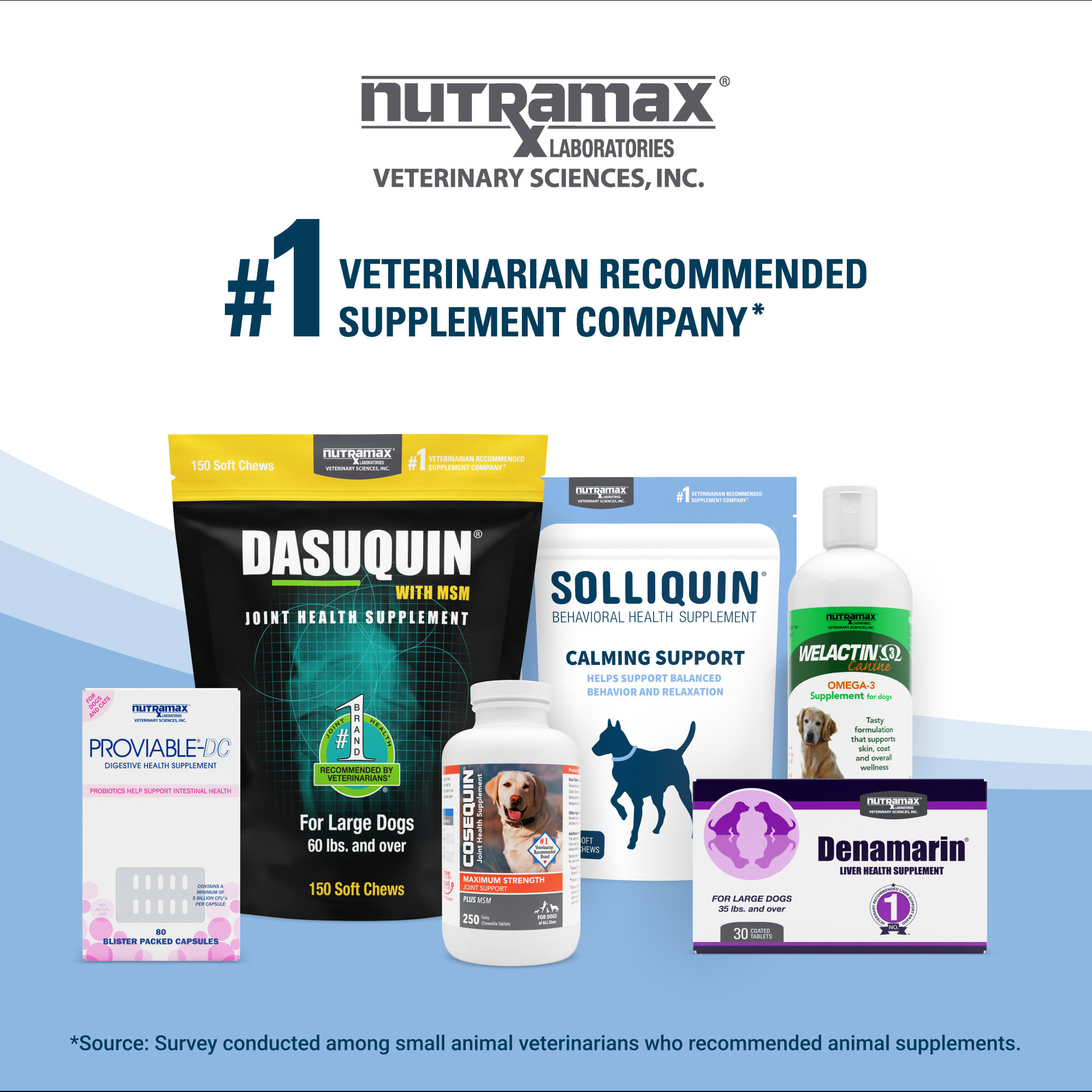 Nutramax solliquin sales