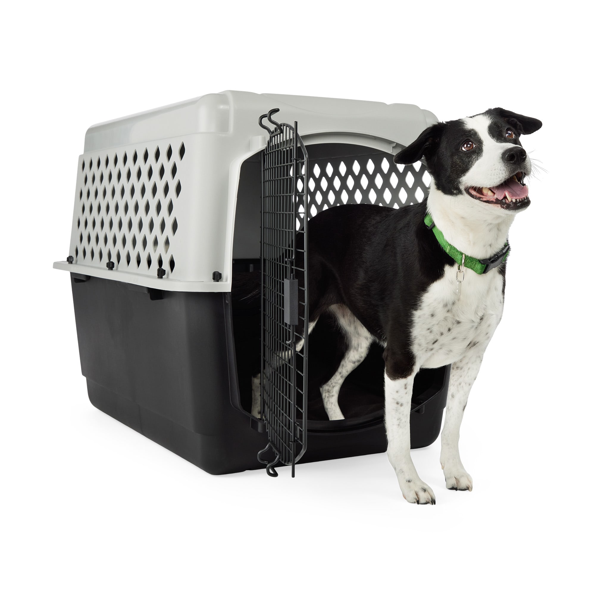 Fencemaster 2 in 1 dog kennel 10x10x6 best sale