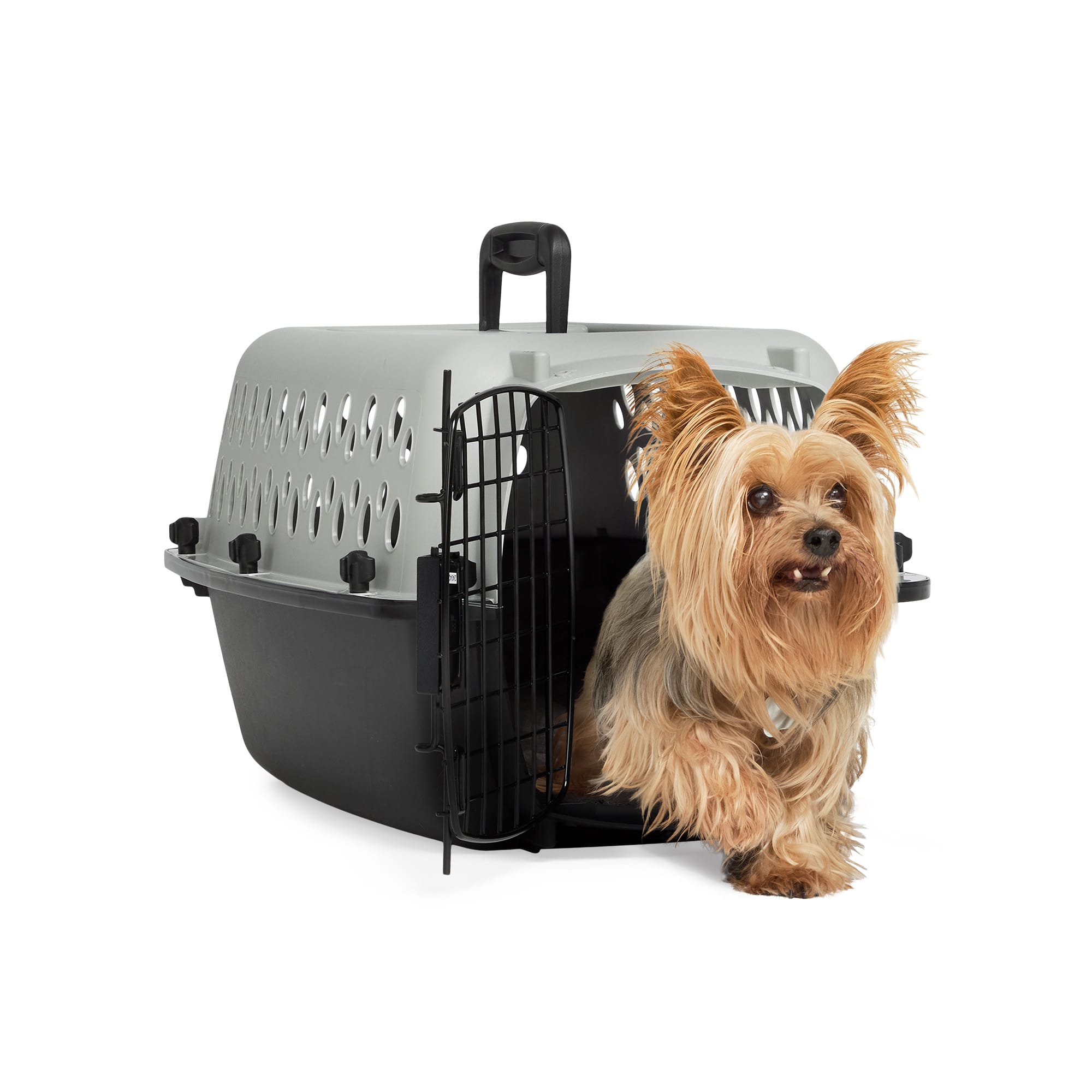 My pet companion portable pet kennel best sale