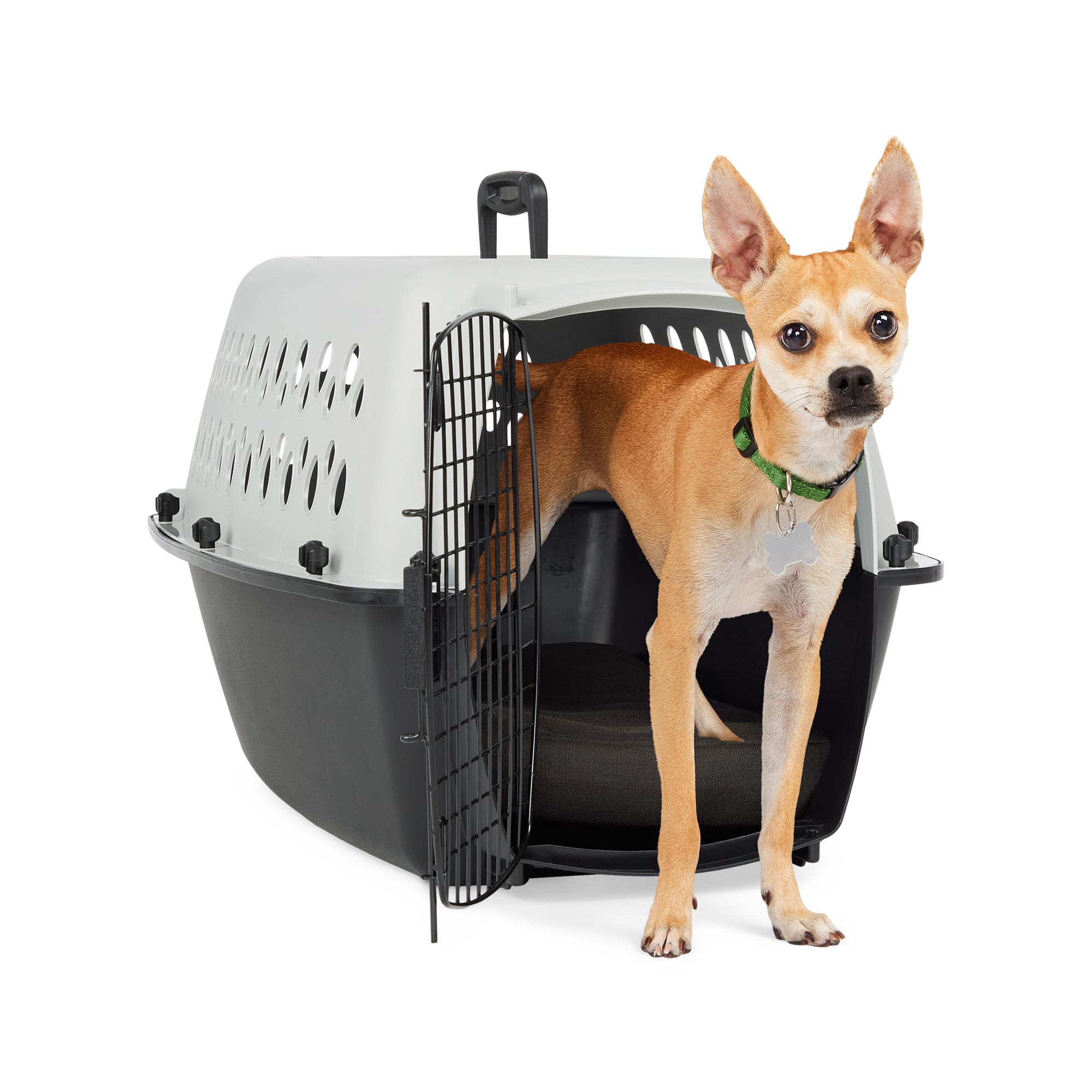 EveryYay Portable Plastic Pet Kennel 19 L X 13 W X 11 H Grey Petco