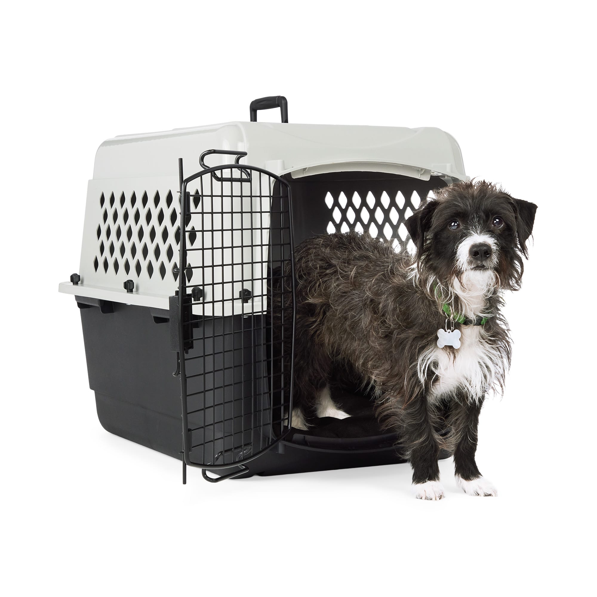 EveryYay Portable Plastic Pet Kennel 19 L X 13 W X 11 H Grey Petco