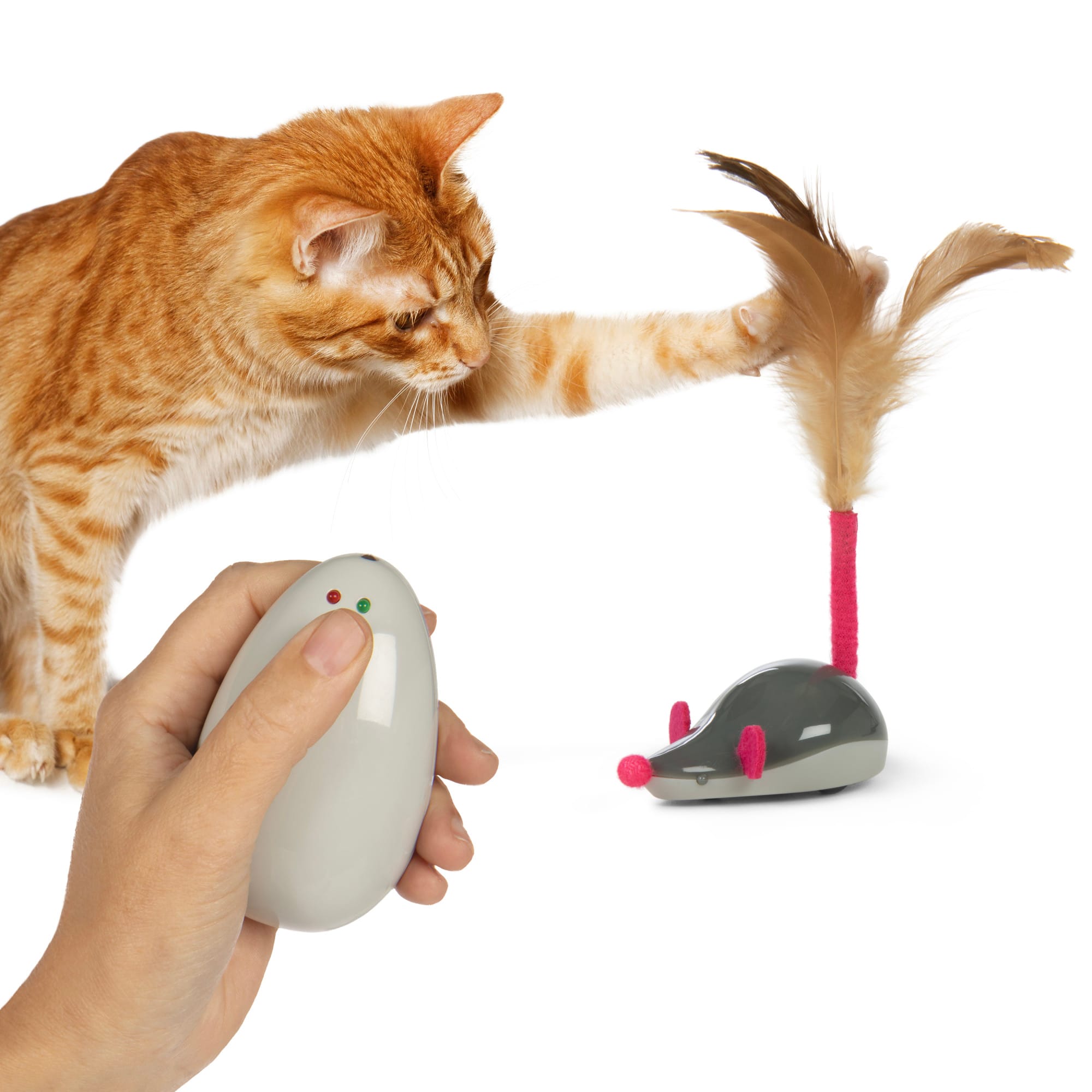 automatic cat ball toy ORSDA Automatic Cat Ball Toys