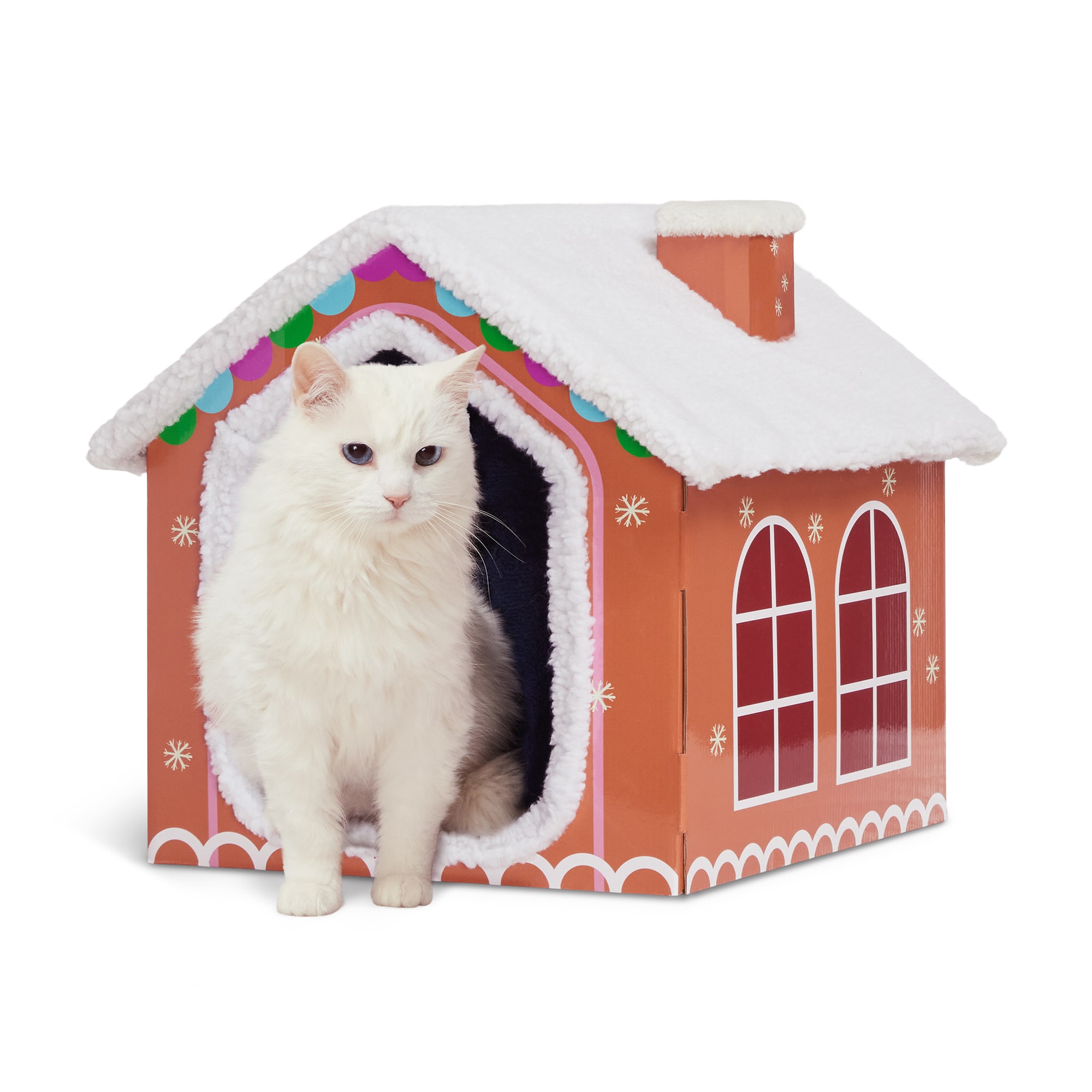 Cat gingerbread scratch house online