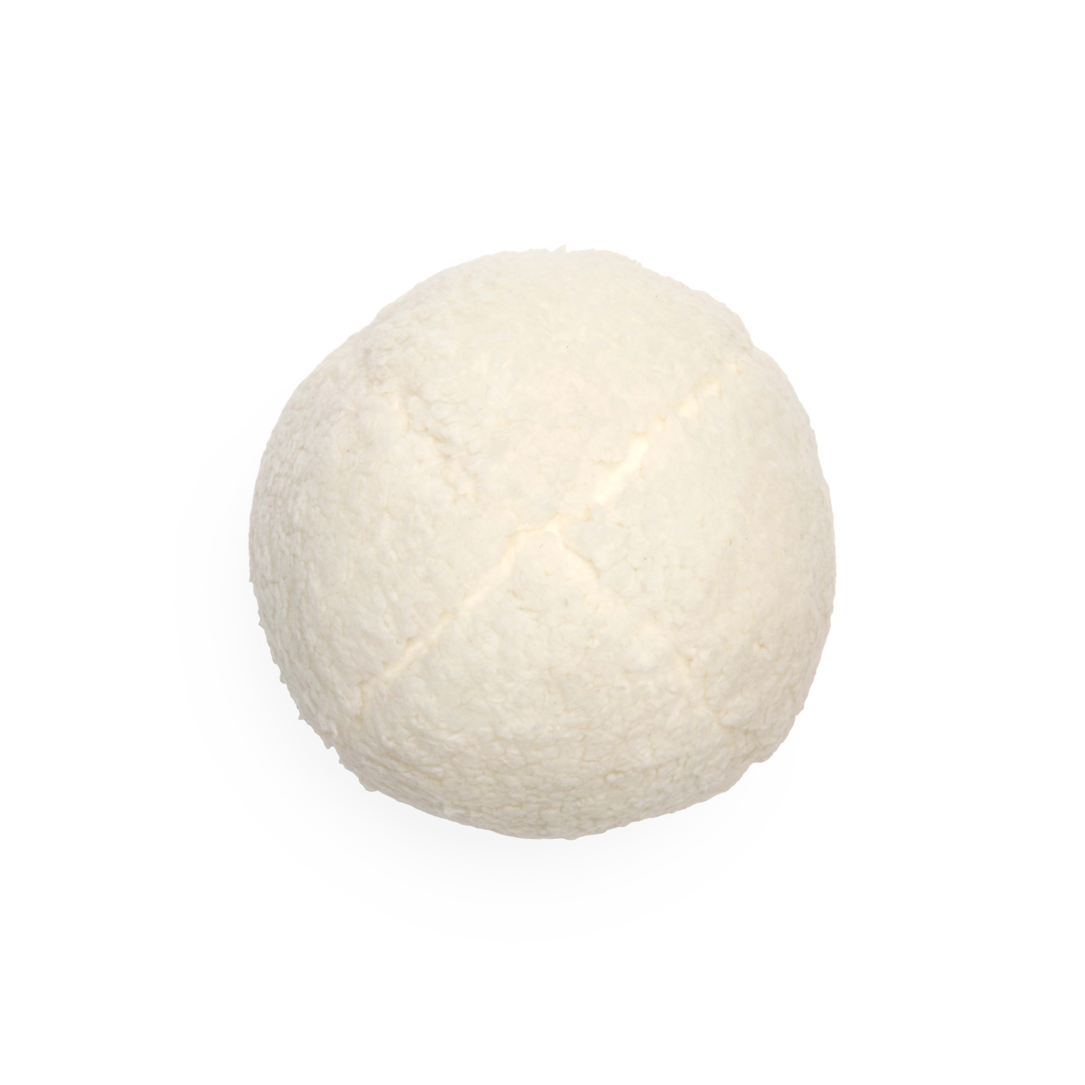 Merry Makings Plush Snowball Dog Toy, Medium Petco