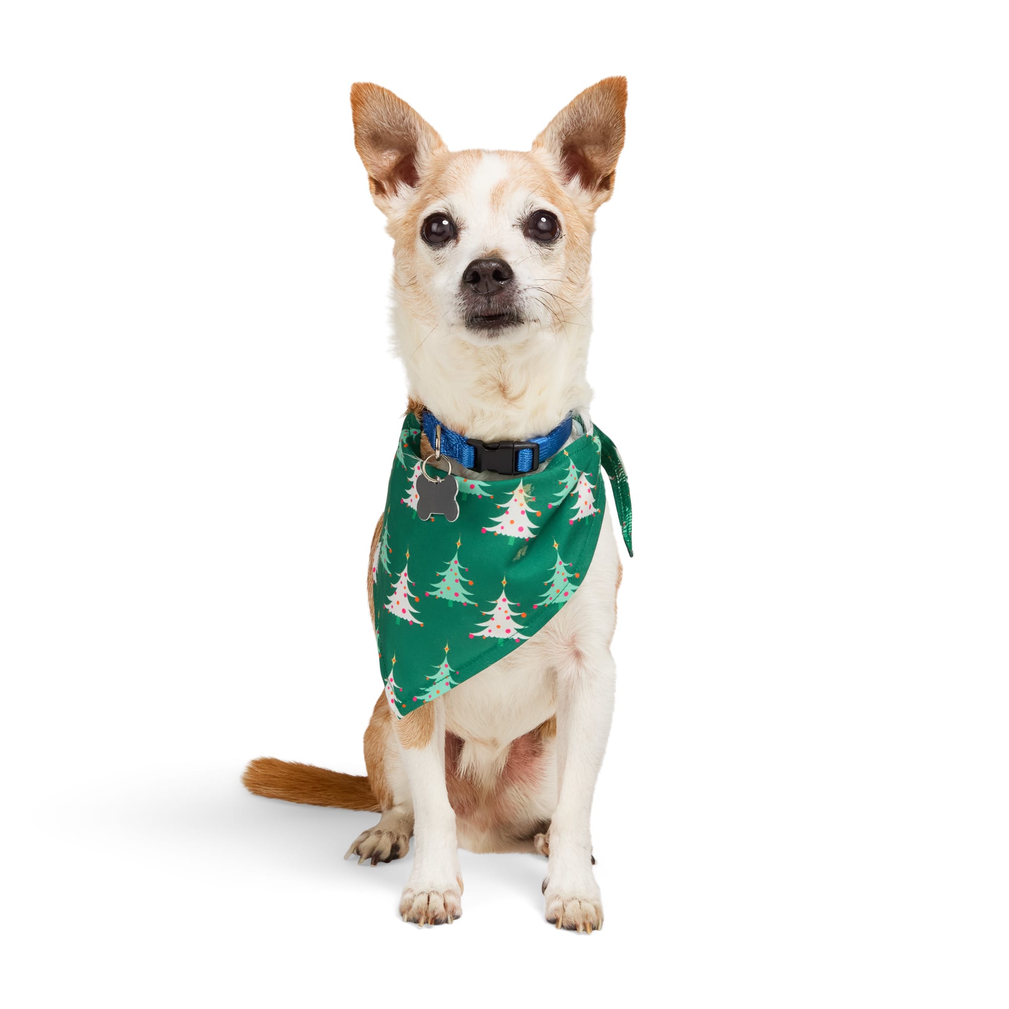 YOULY Reversible Birthday Dog Bandana X Small Small Petco