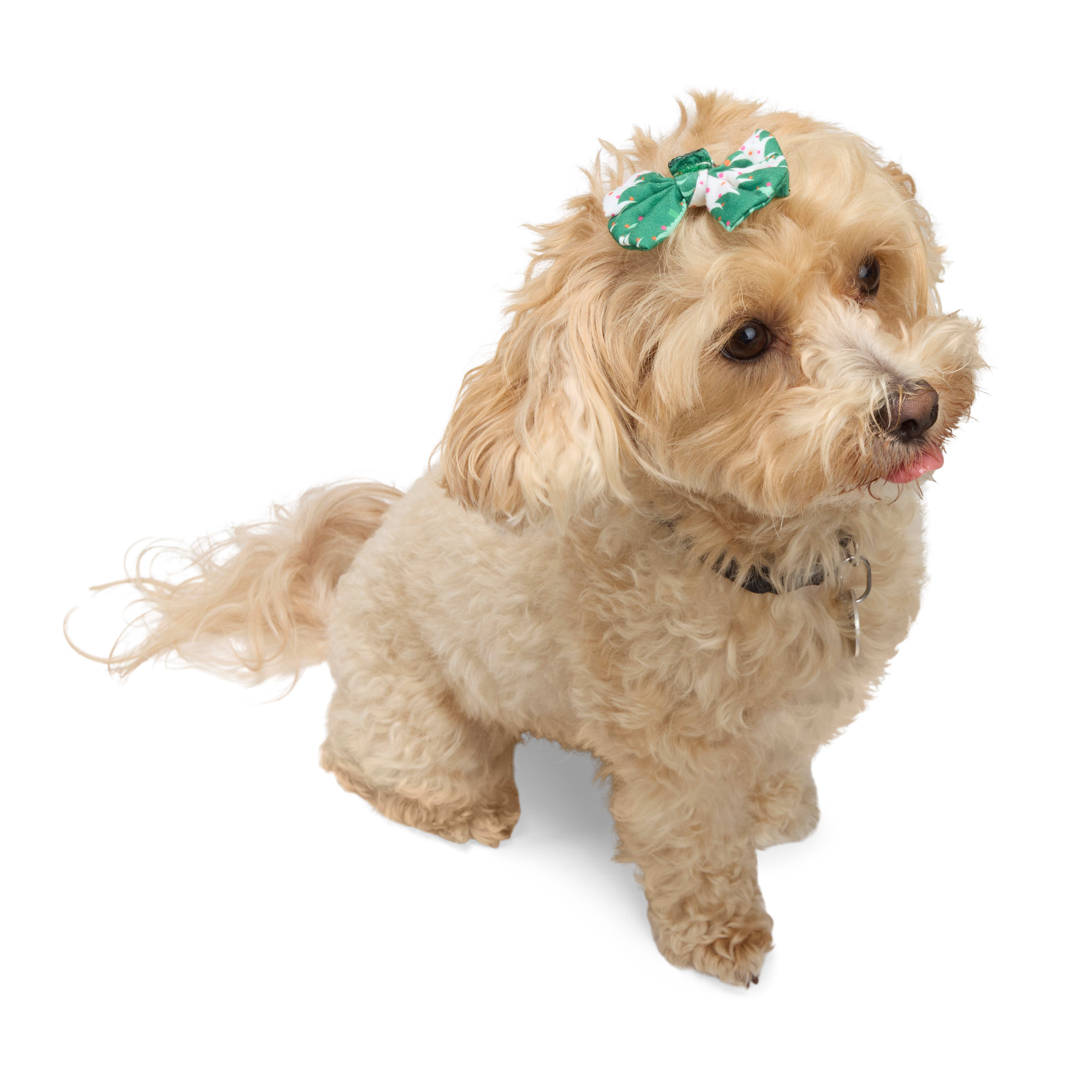 Merry Makings Hair Accessory for Dogs, Pack of 2 Petco