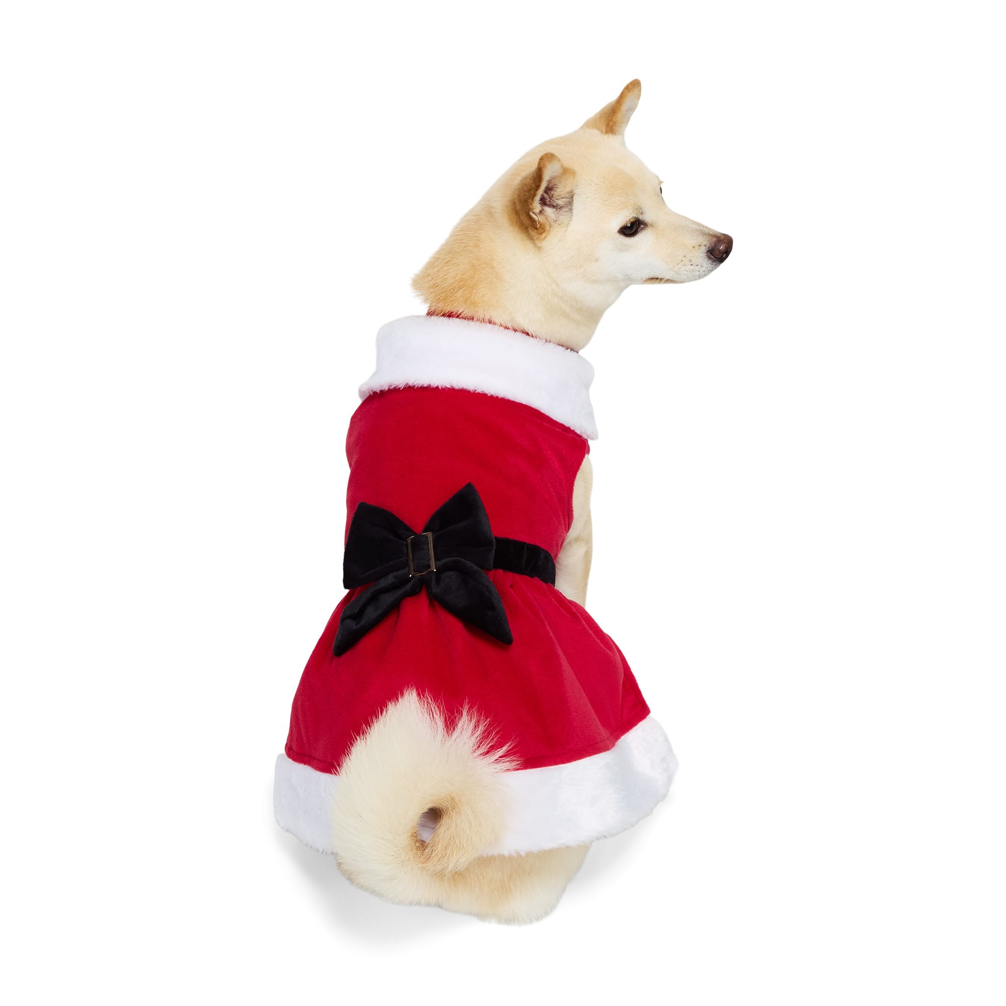 Dog mrs claus costume best sale