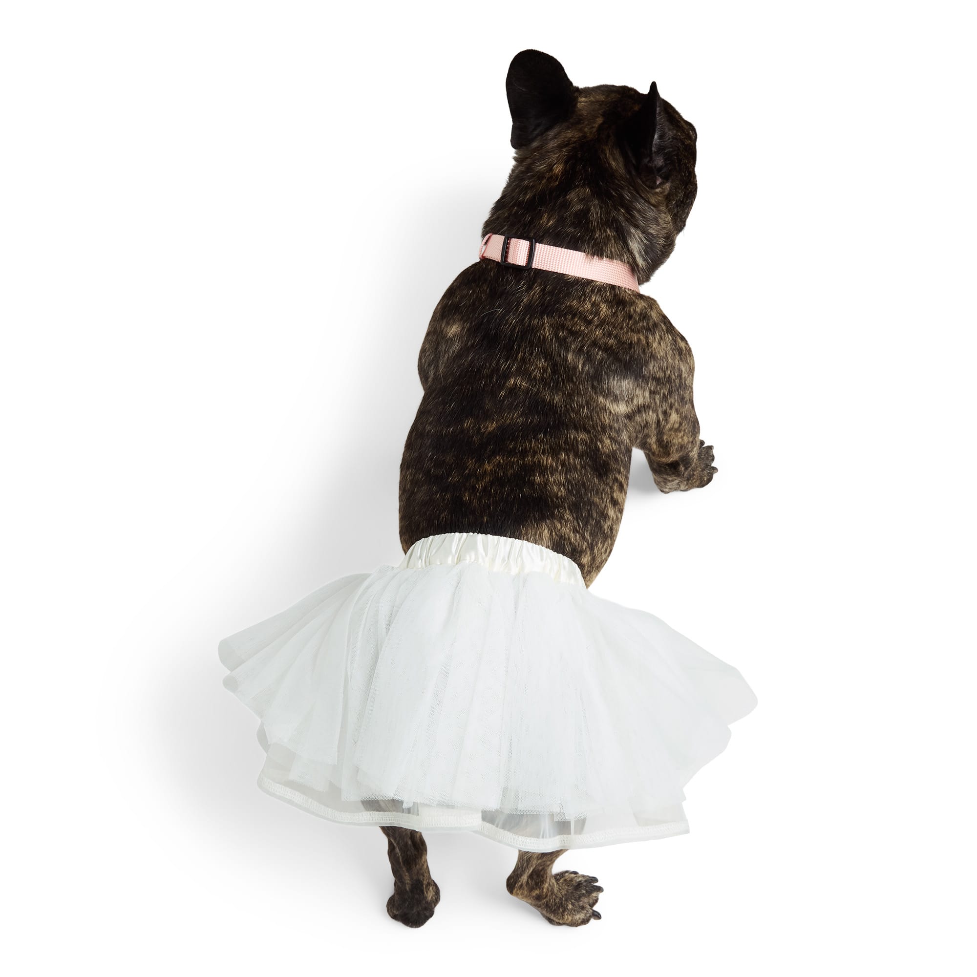 Merry Makings Tutu for Dogs & Cats, Large/XLarge, White Petco