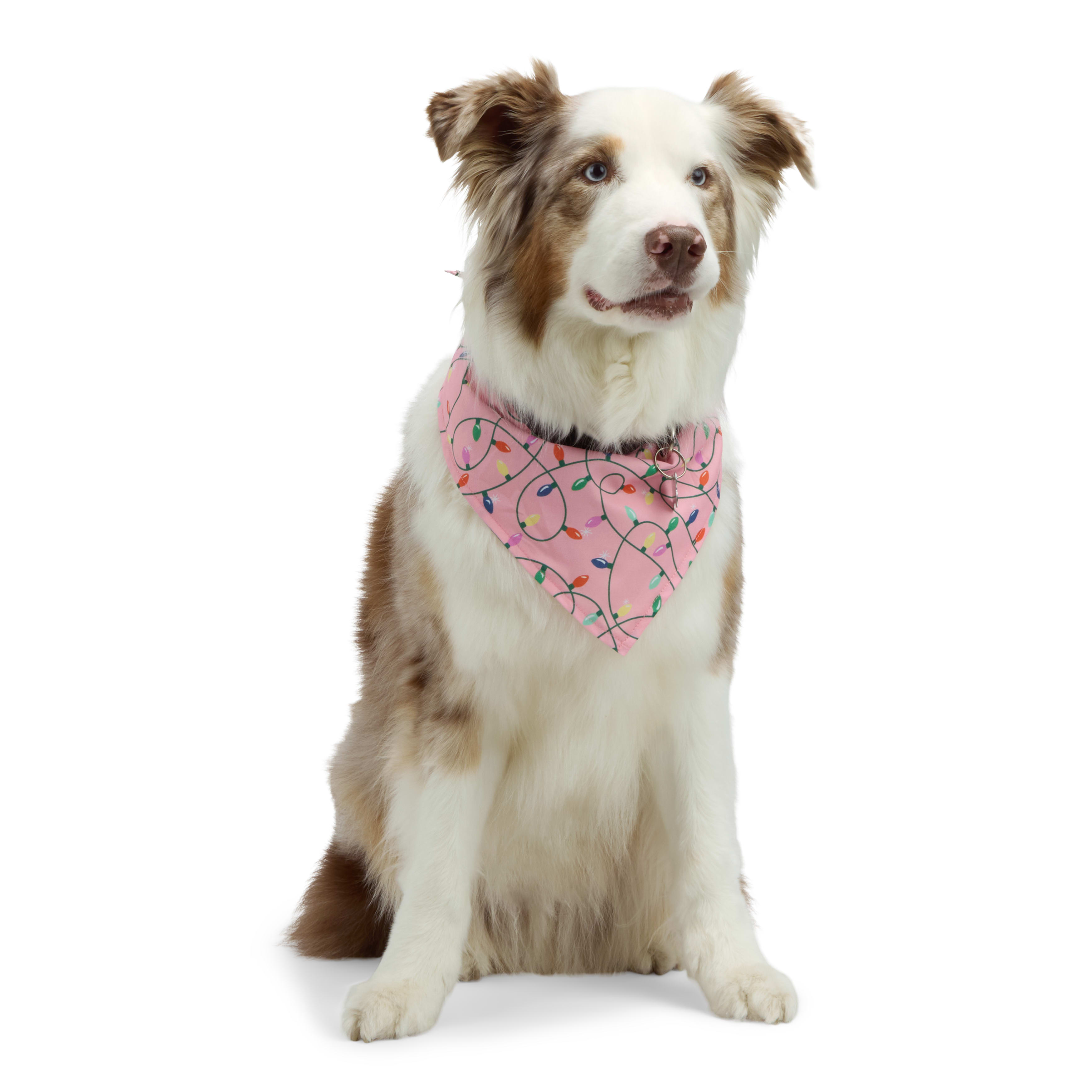 Petco birthday fashion bandana