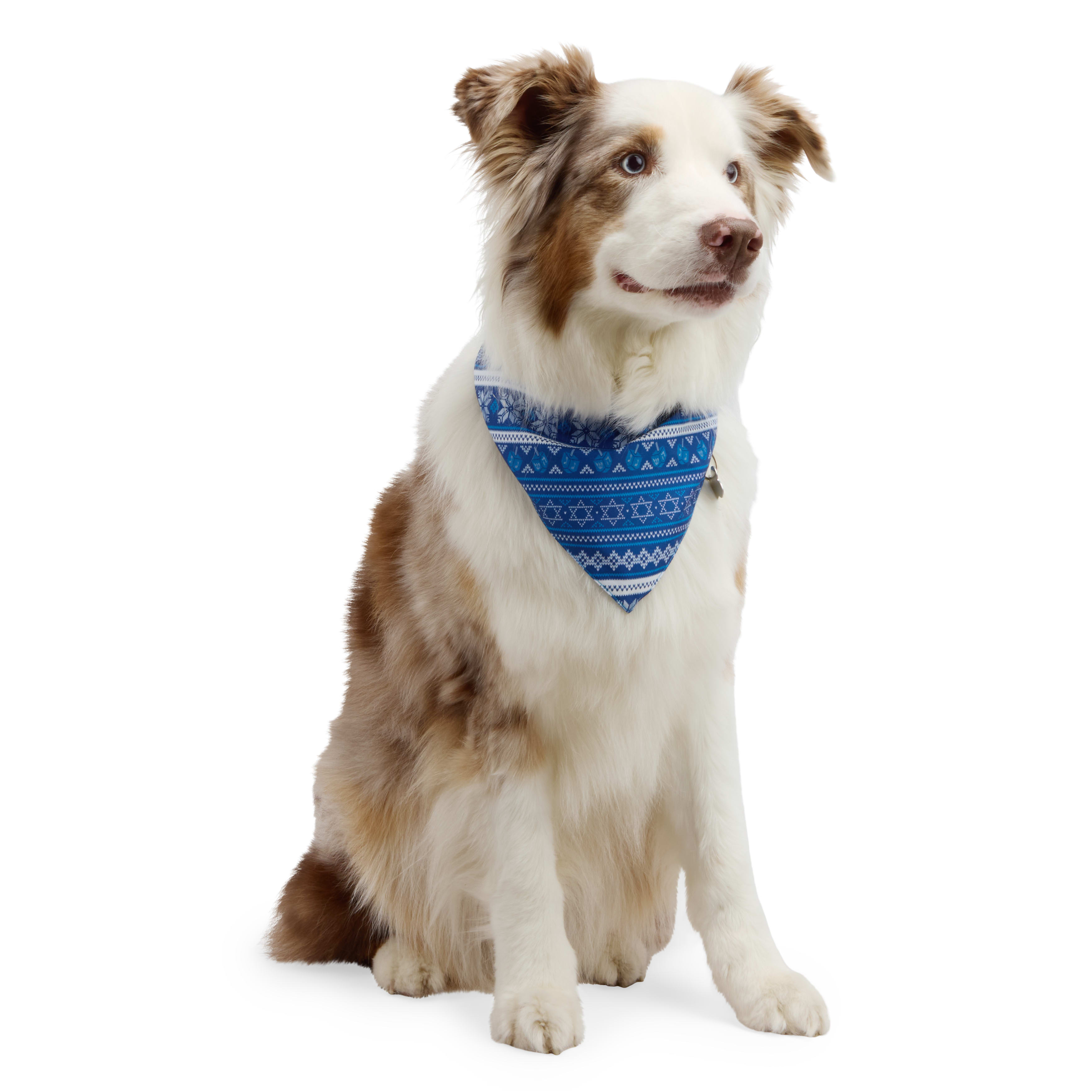 Petco birthday bandana best sale