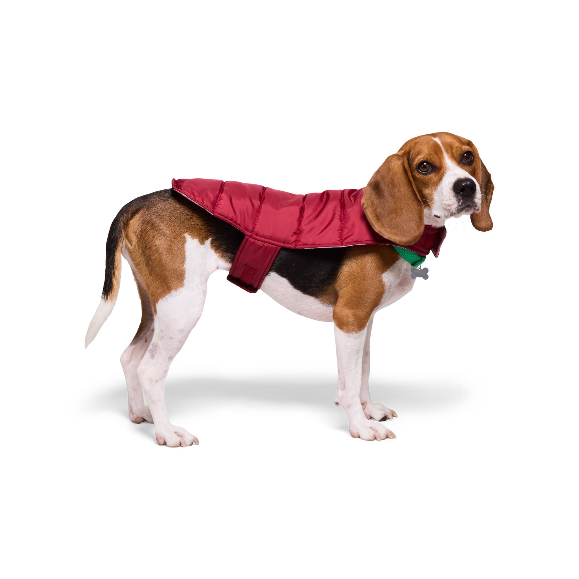YOULY Reversible Puffer Coat for Dogs, Small/Medium, Red Petco
