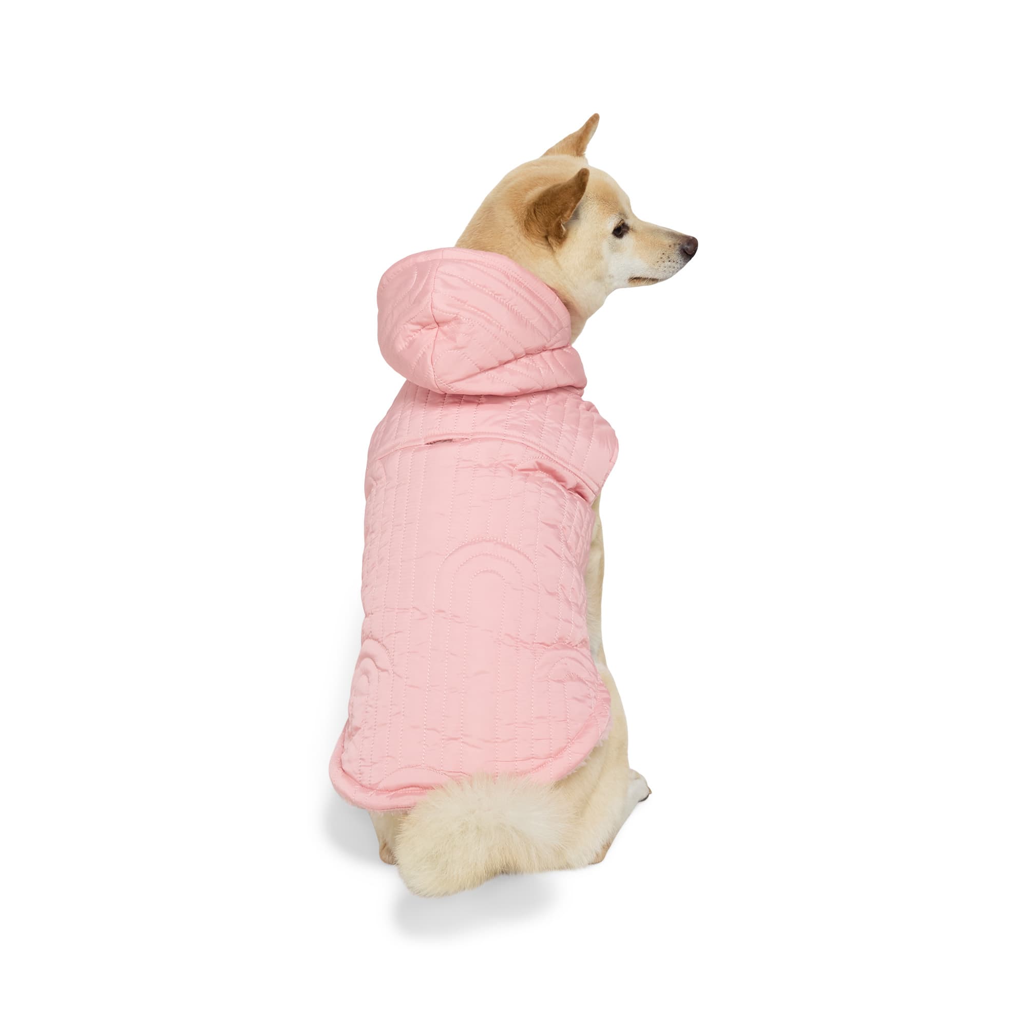 Petco dog jackets hotsell