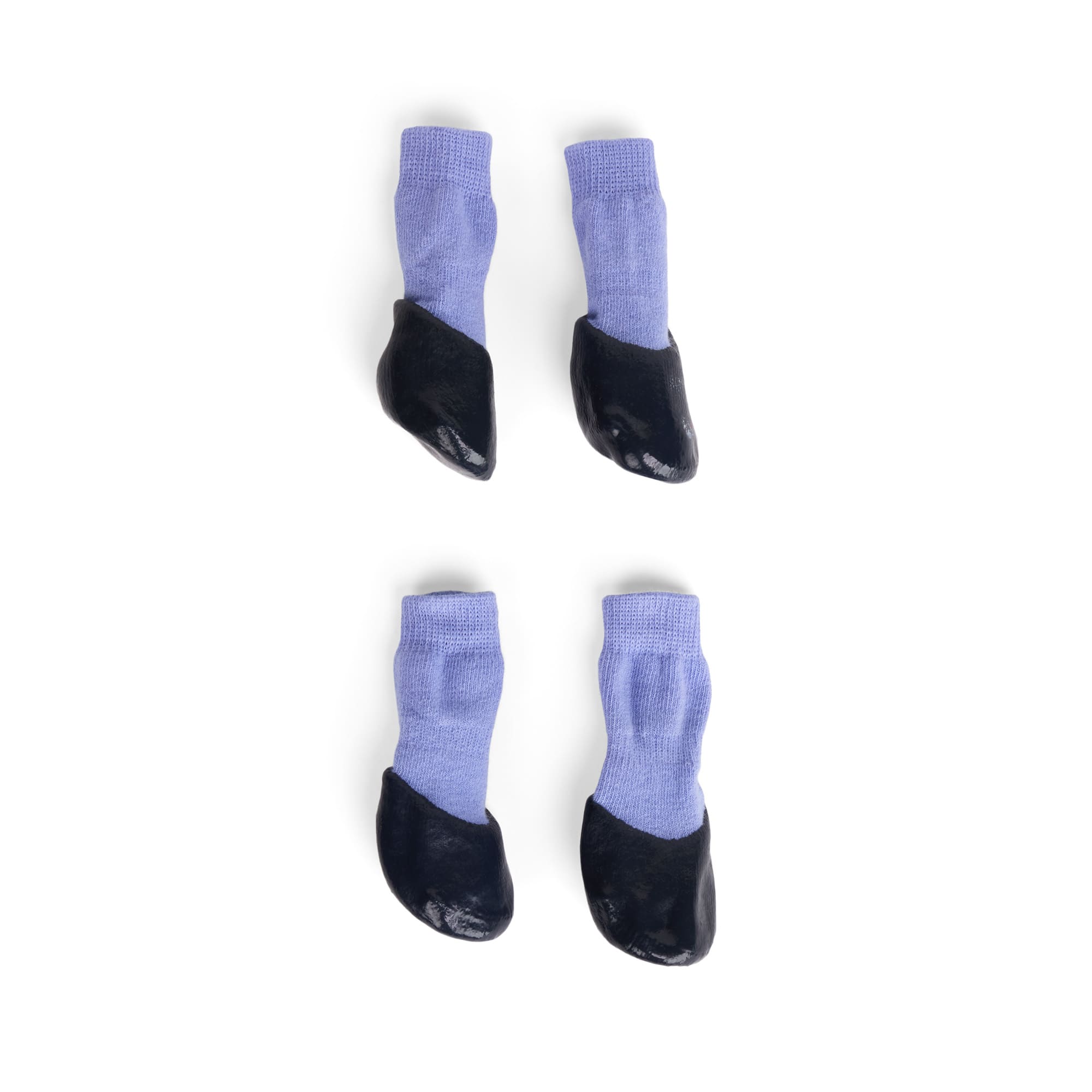 Non slip dog socks petco discount