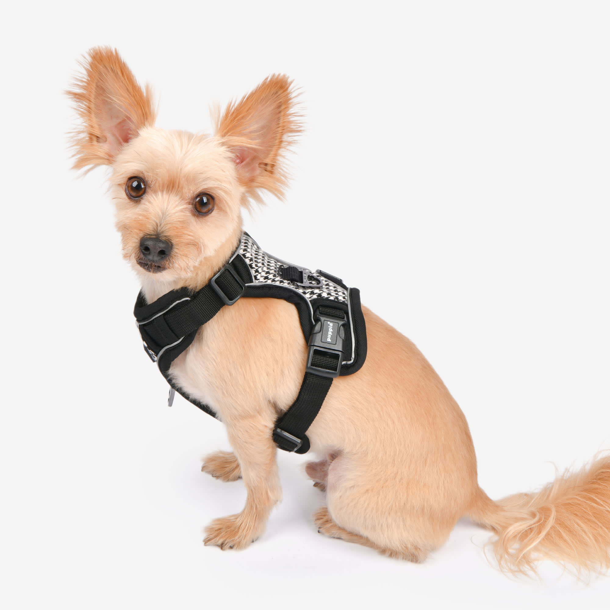 Puppia Black Conall Dog Harness H, Small | Petco