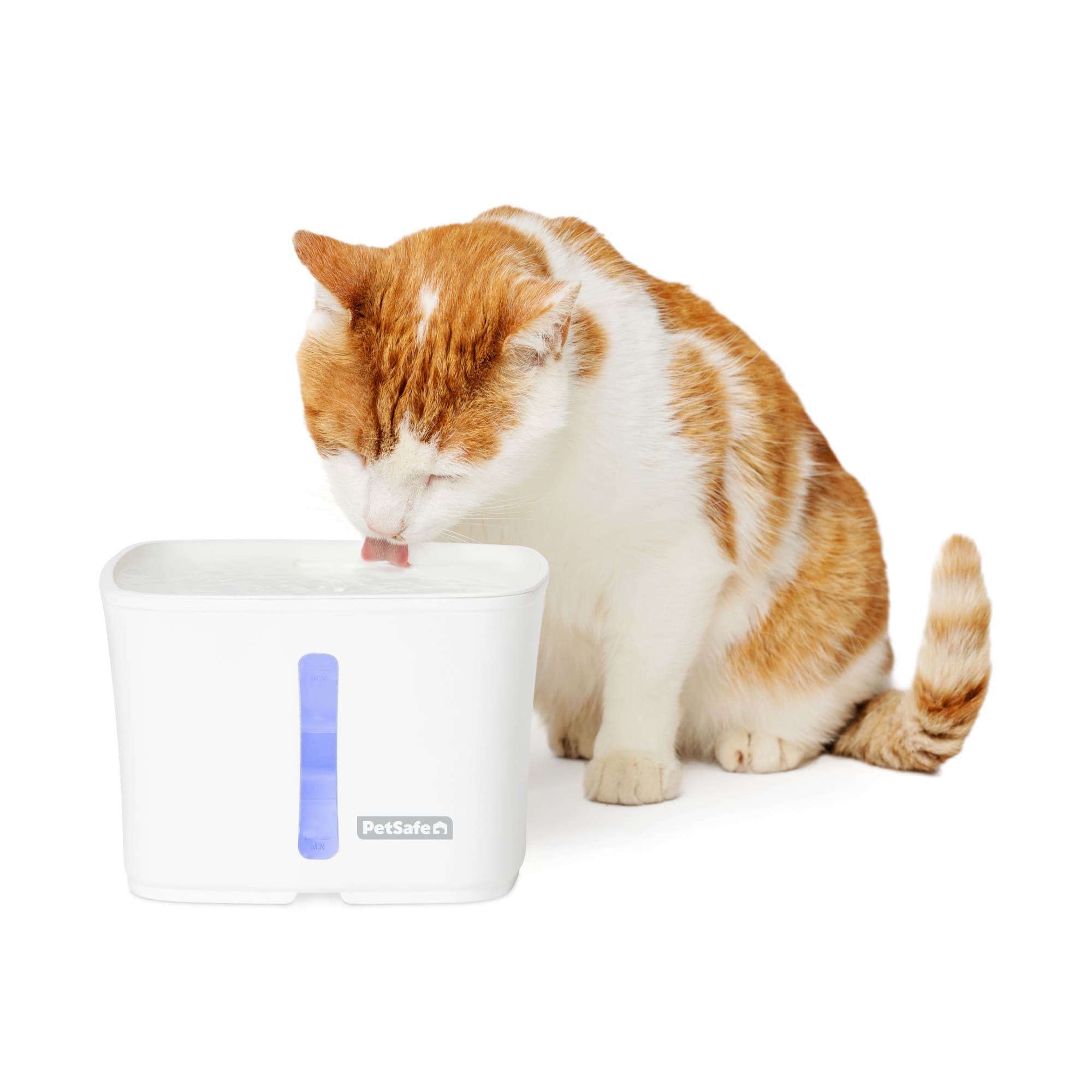 Pet fountains for cats hotsell