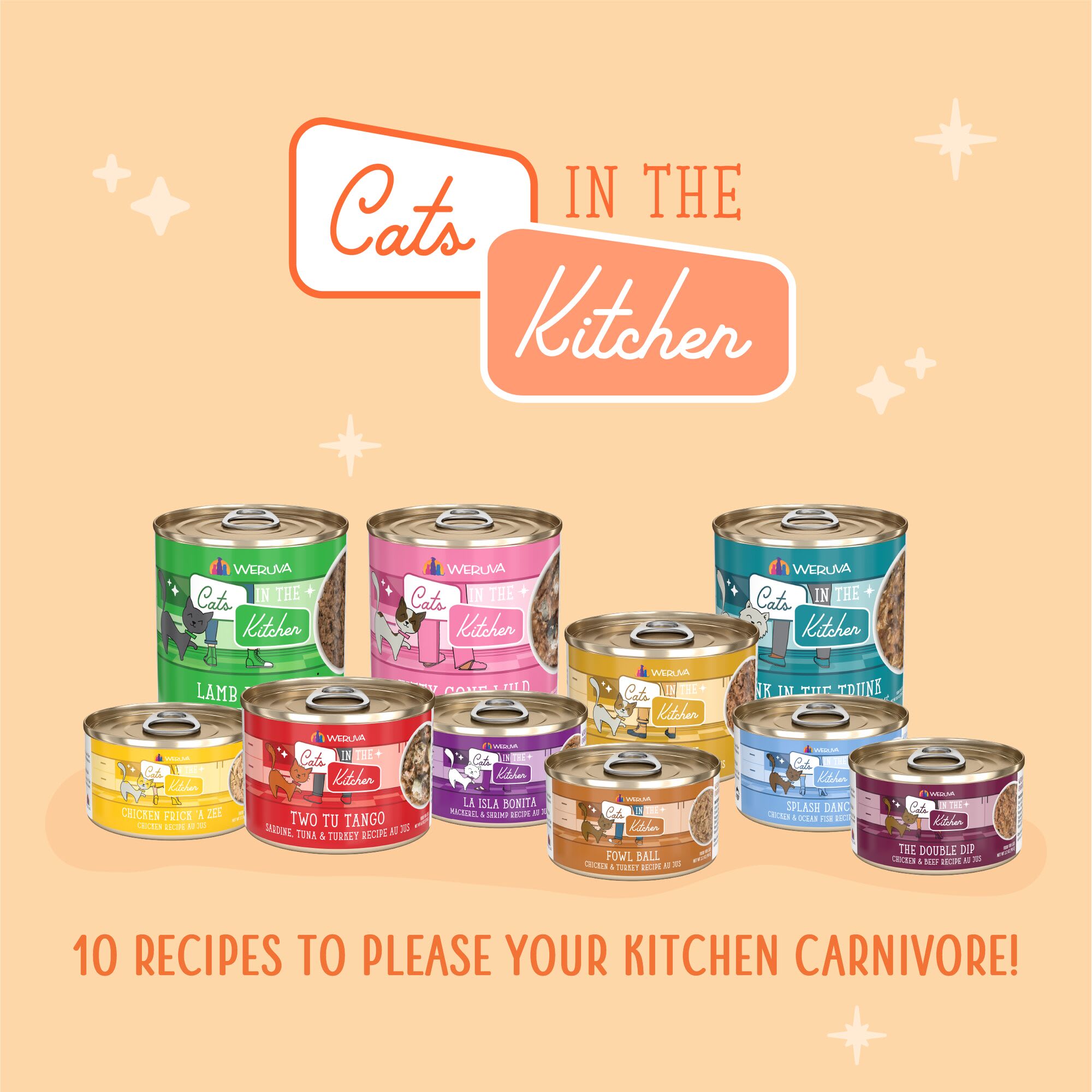 Cats in the Kitchen Originals The Coolsville Catch! Variety Pack