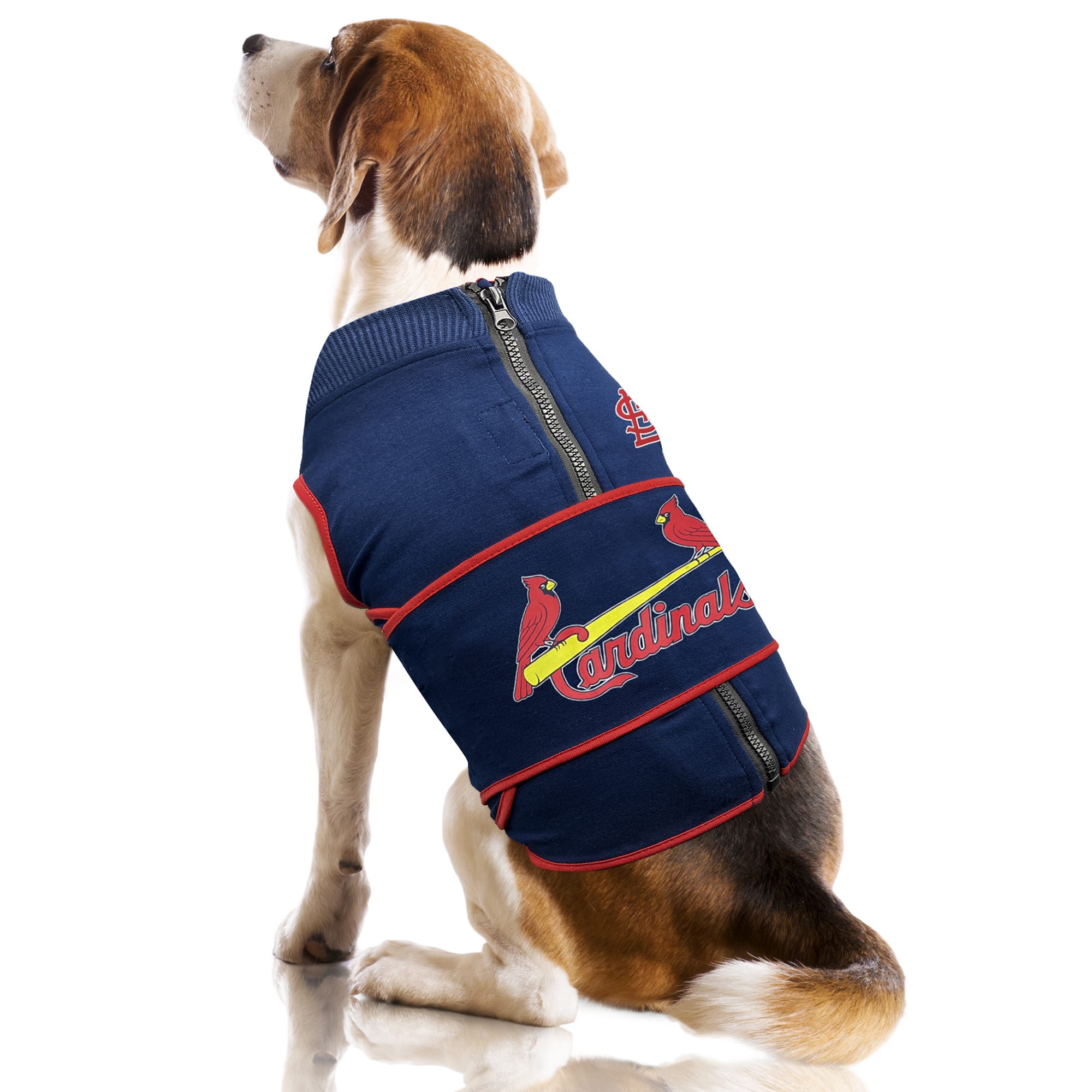 Dog anxiety vest petco best sale