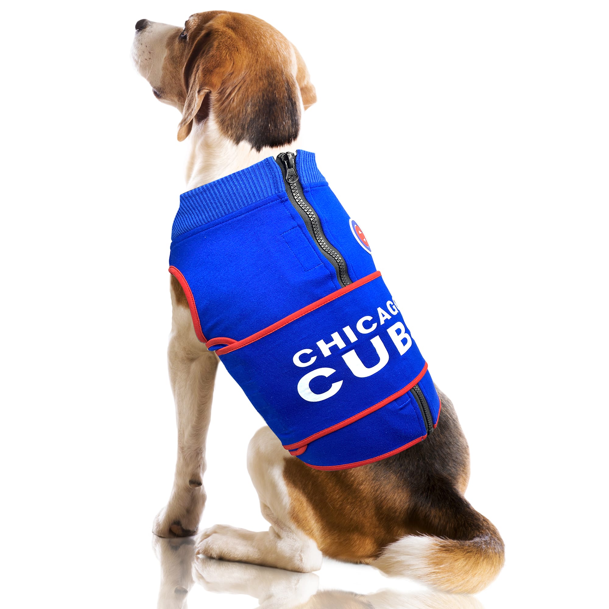 Cubs dog harness best sale