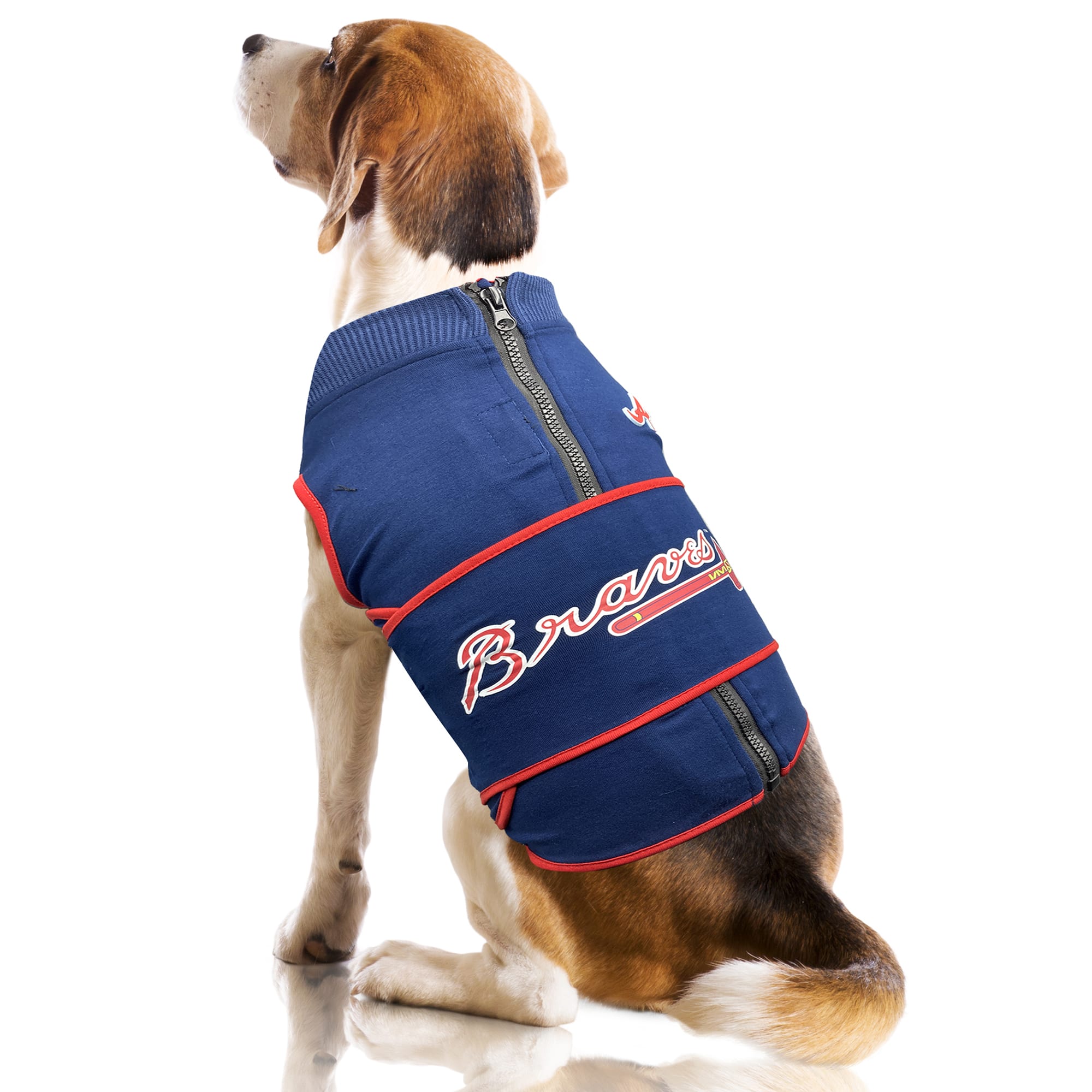 Petco anxiety vest hotsell