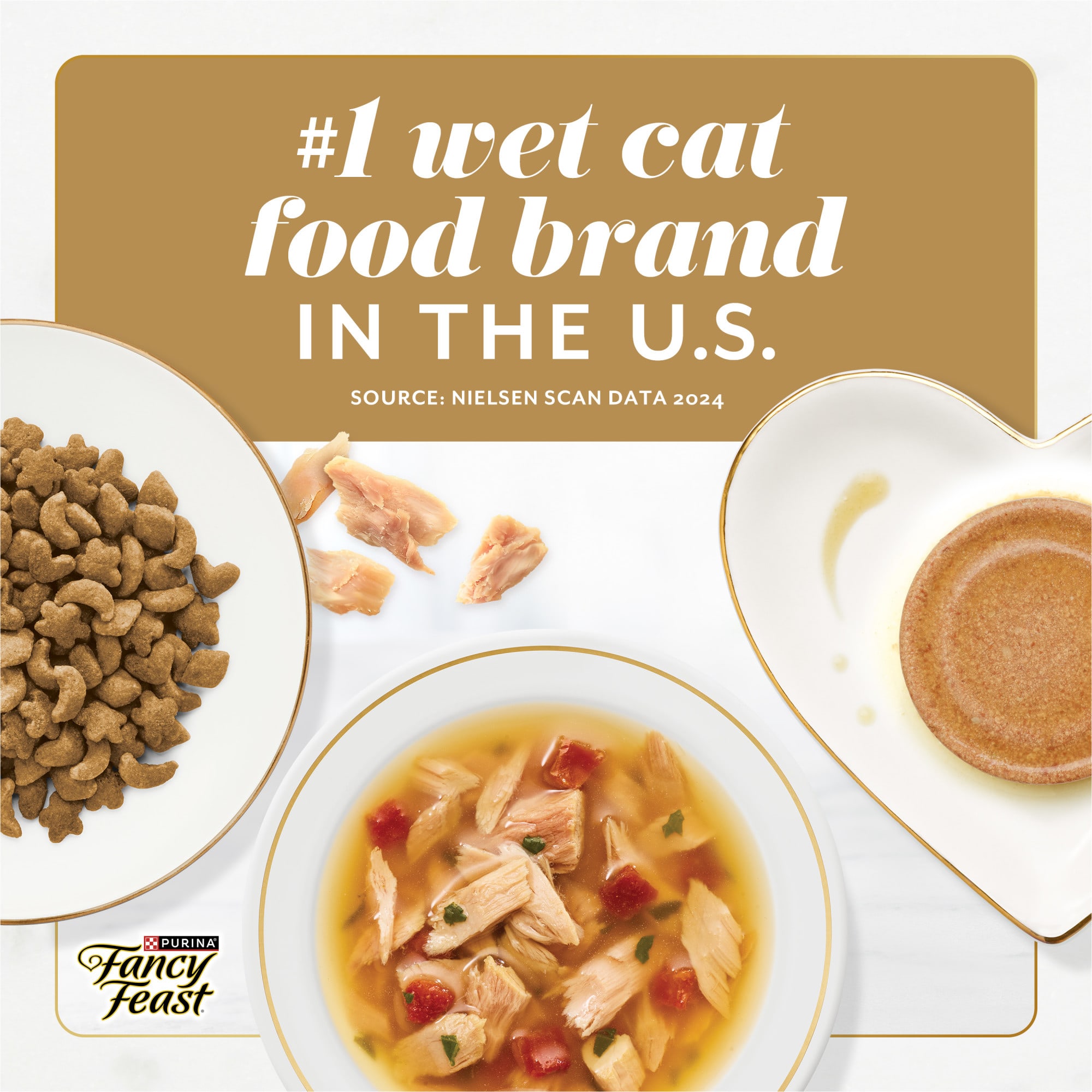 Fancy Feast Gems Mousse Pate With Salmon & Gravy, 4 oz., 8 Ct. | Petco