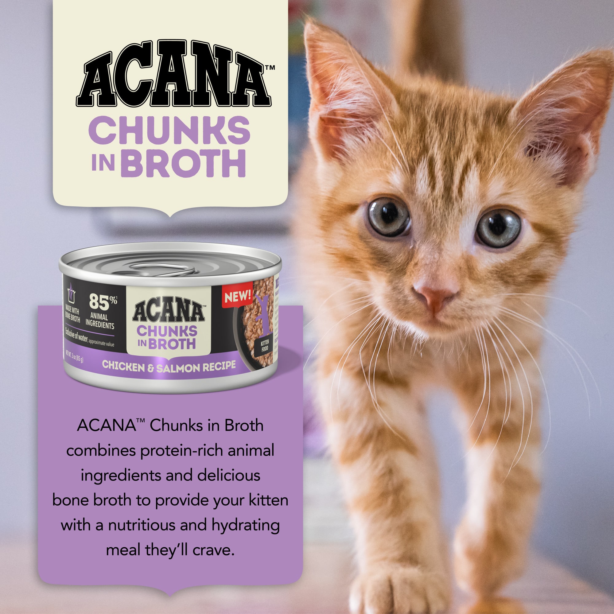 ACANA Chunks in Broth Chicken Salmon Recipe Wet Kitten Food,