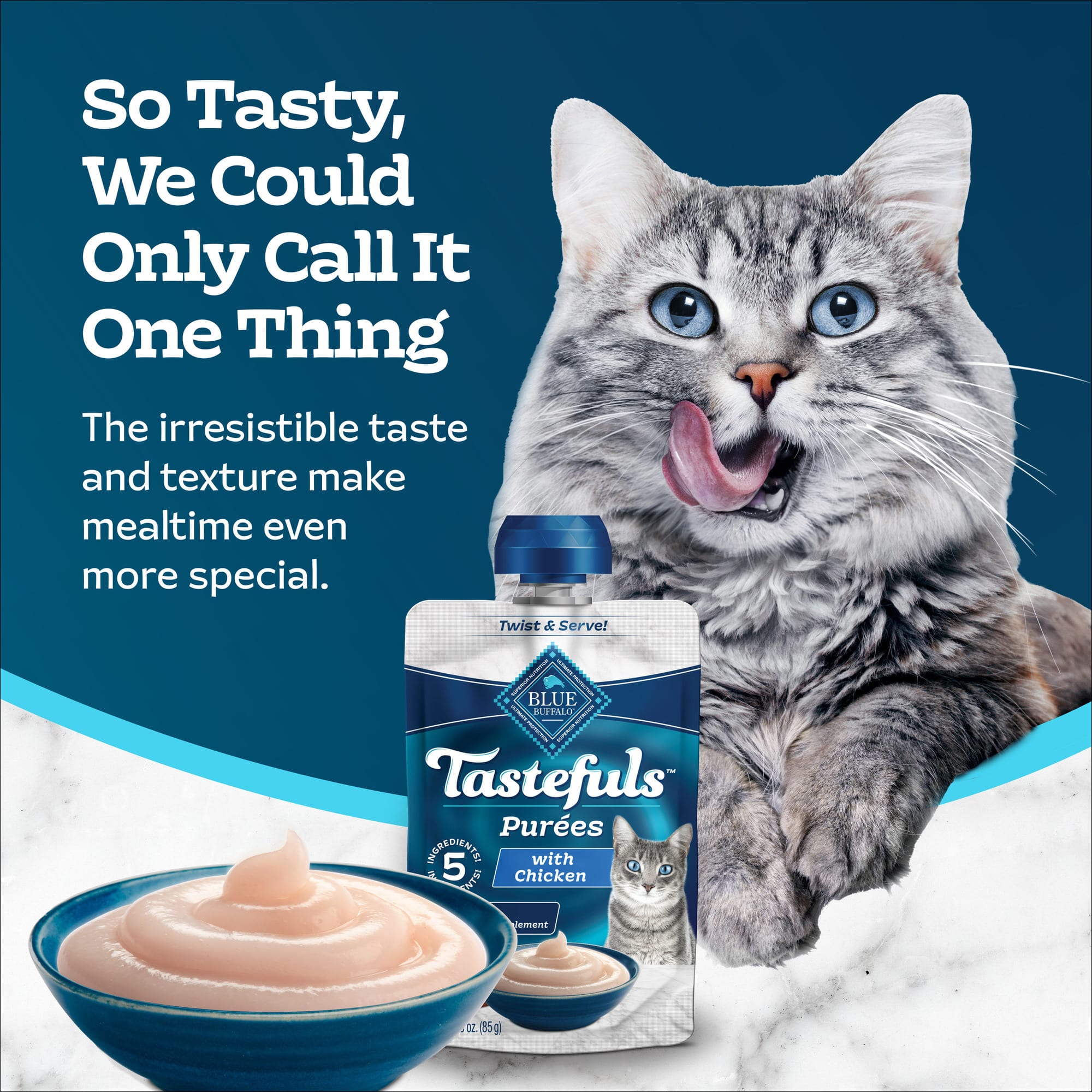 【専用】ぶさかわ猫 特大チューリップバック(ブルー) Blue Buffalo BLUE Tastefuls Chicken Resealable Twist Cap Adult Cat