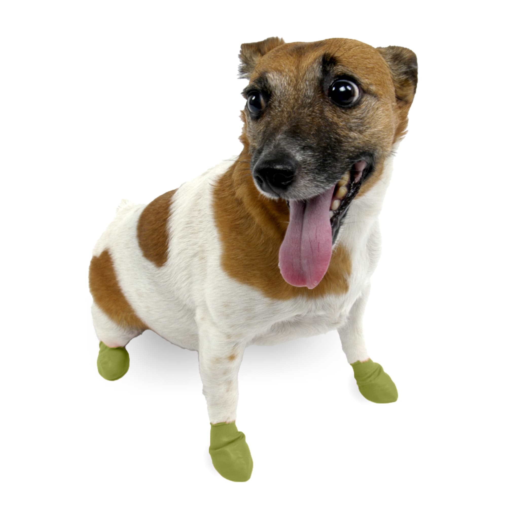 PAWZ Olive Green Rubber Dog Boots X Small