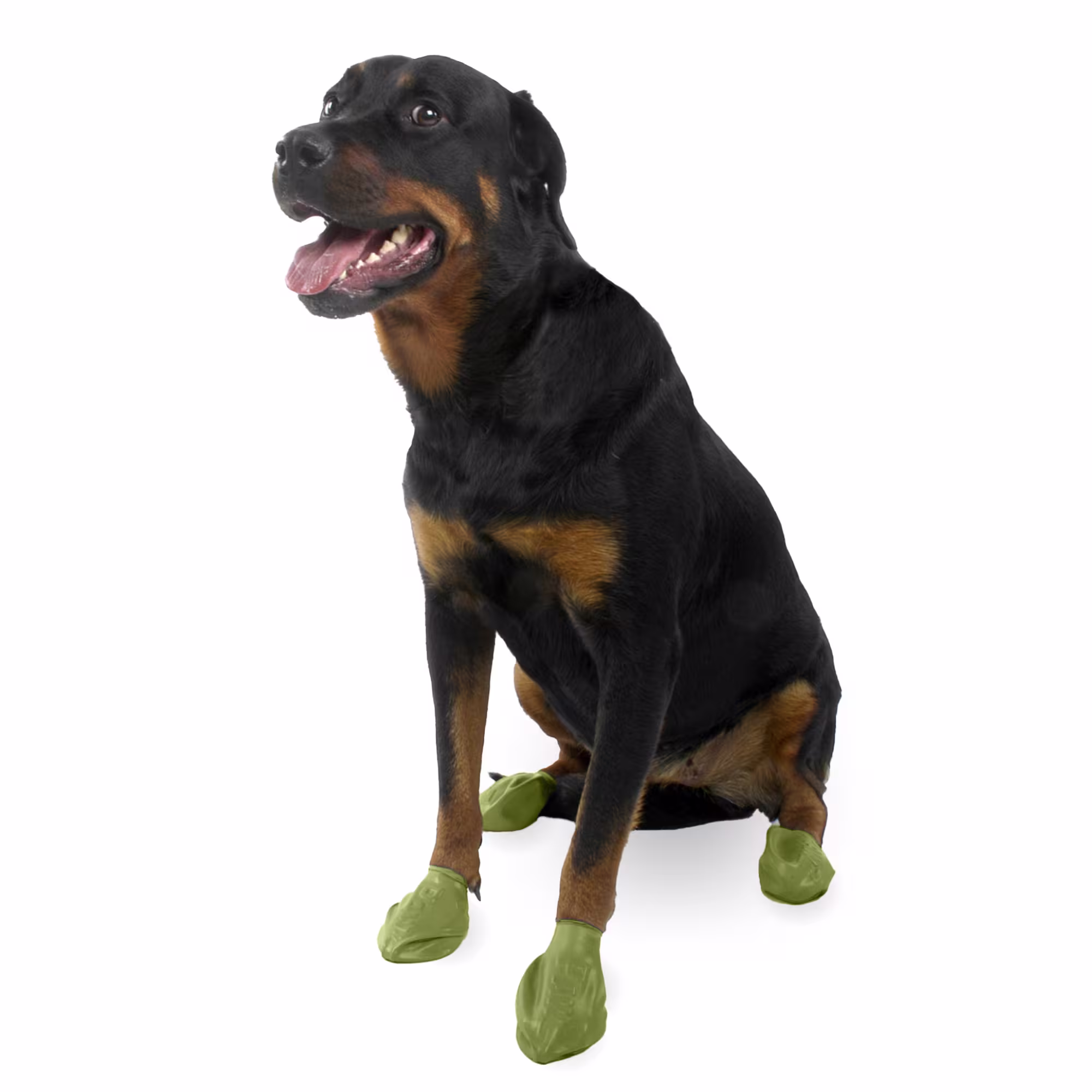 PAWZ Olive Green Rubber Dog Boots, Large Petco