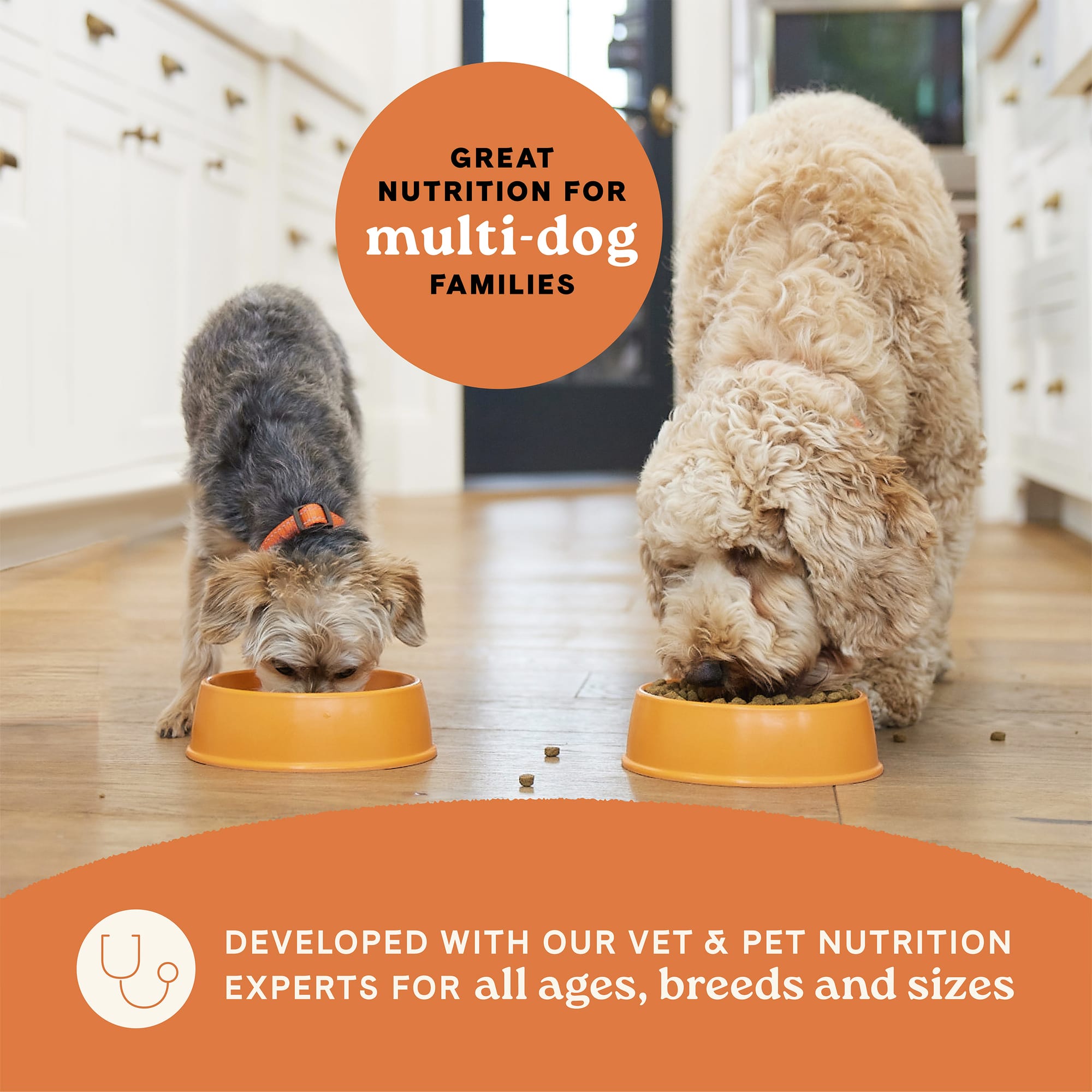 amount of wet food for dog Nutrientboost™ Homestyle Meal Gut Health Wet Food for Dogs