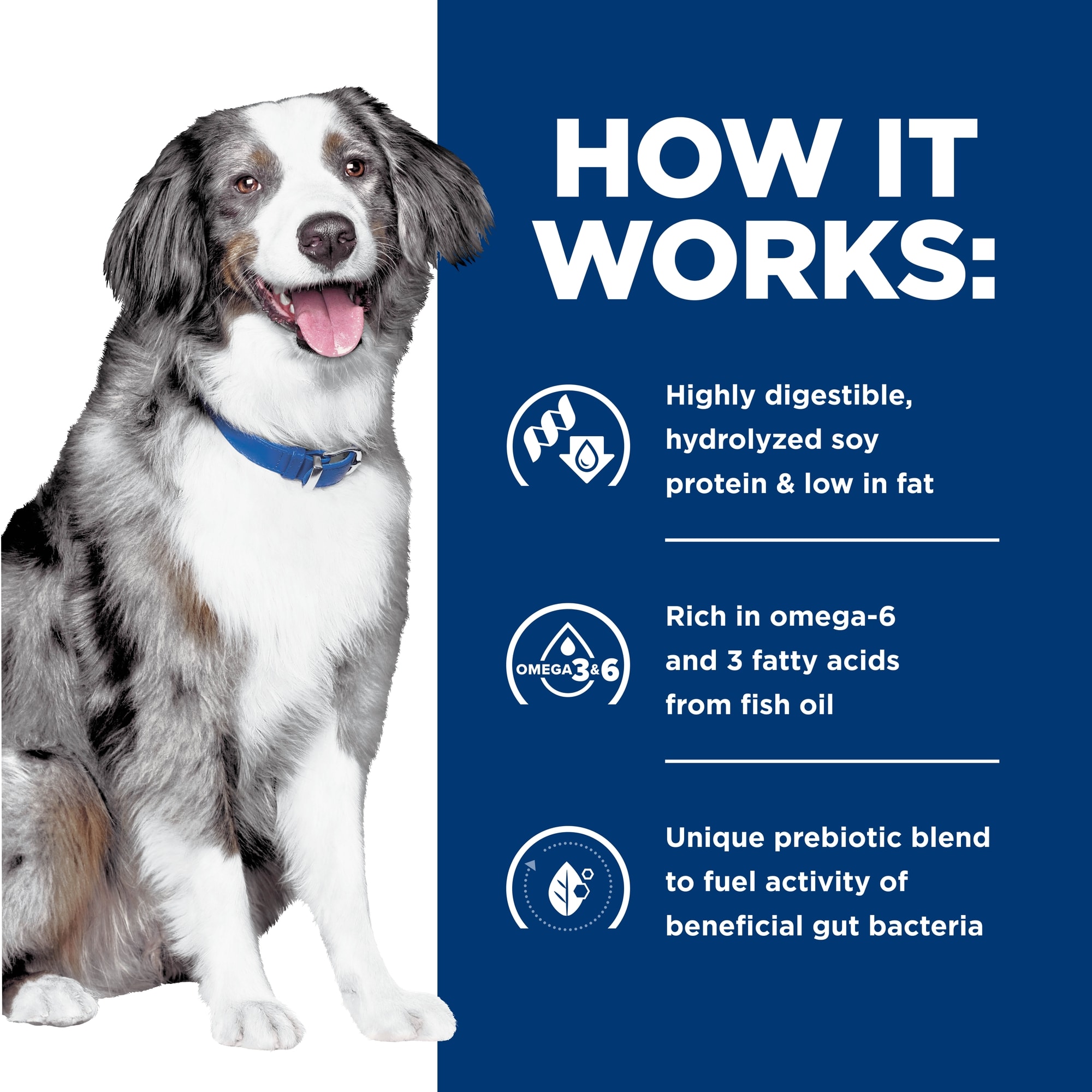 Hill's Prescription z/d Low Fat Soy Dog Food, 13 oz., 12 Ct. | Petco