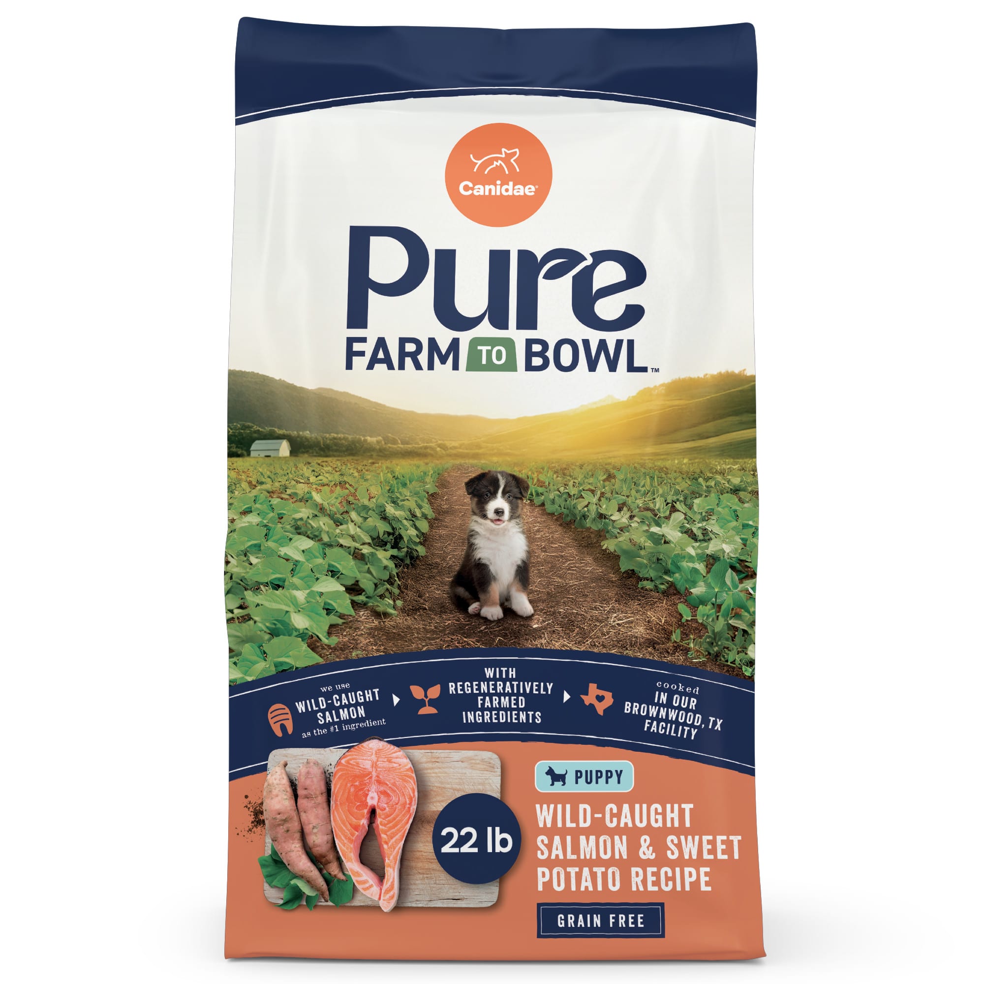 Canidae Pure Salmon Sweet Potato Grain Free Dry Puppy Food, 22