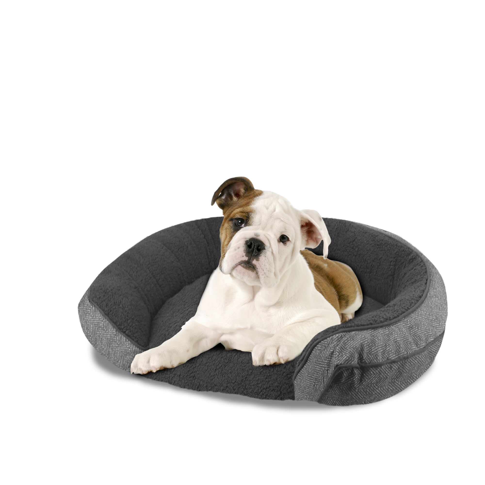 Arlee Orthopedic Chew Resistant Large Dog Bed Black