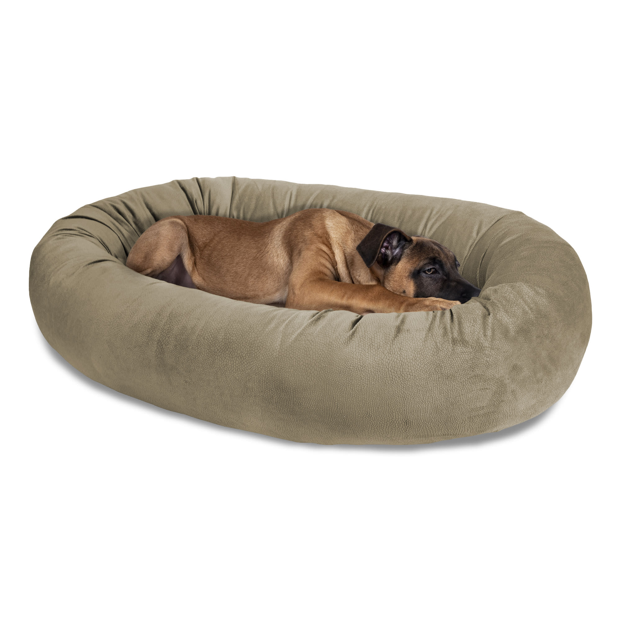 Pet Bowl Dr Foster And Smith Orthopedic Dog Bed Arlee Pet Products