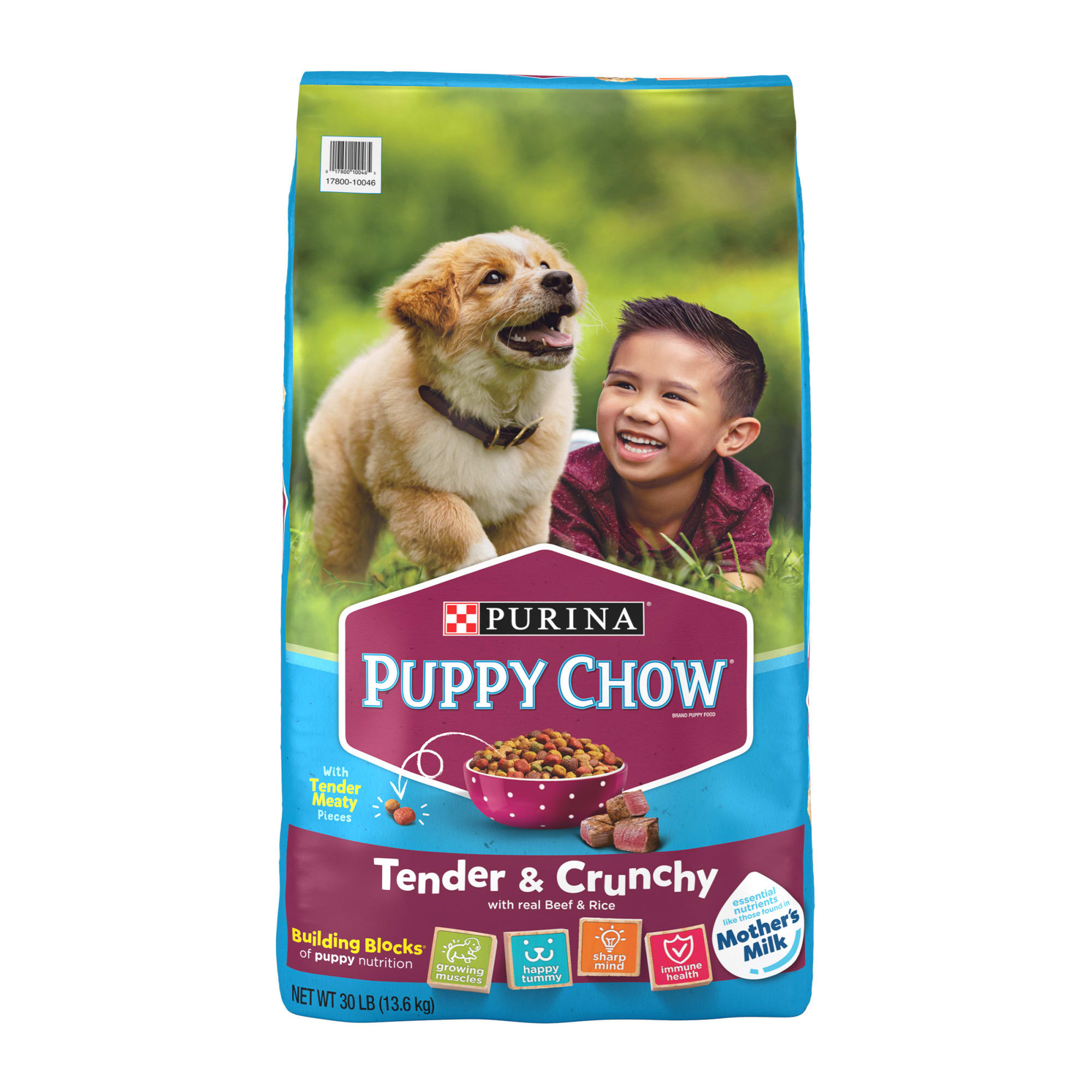 Best Affordable Puppy Food of 2024 Petco