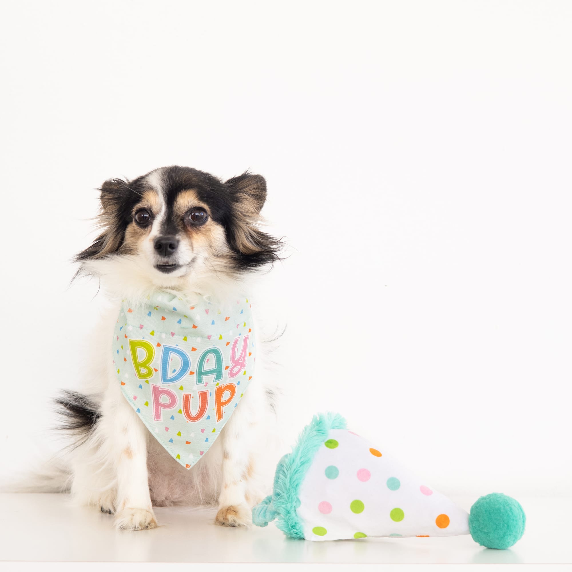 Pearhead Pet Happy Barkday Bandana Hat Set, Small/Medium Petco