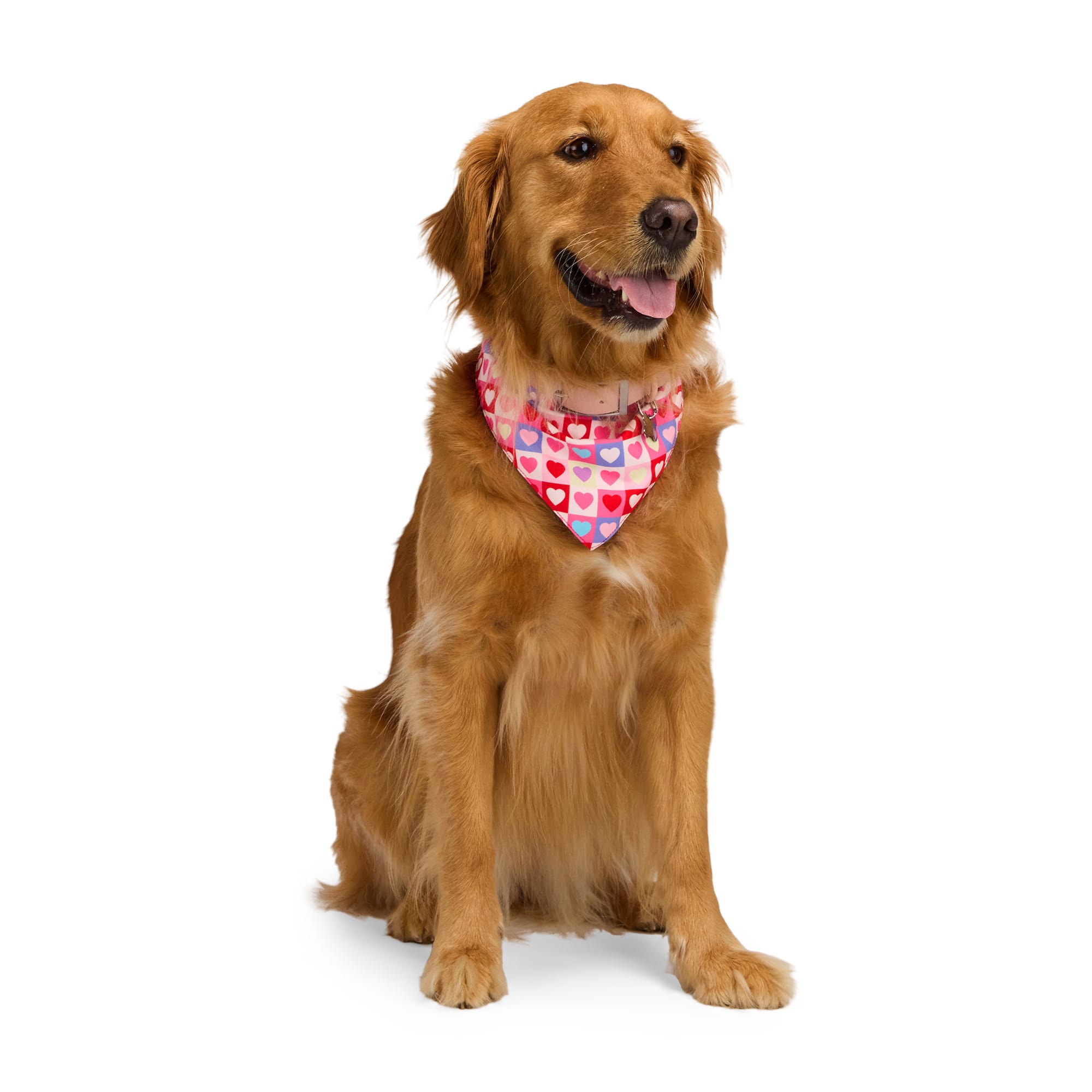 YOULY Valentine's Day Reversible Dog Bandana, Small/Medium, Pink