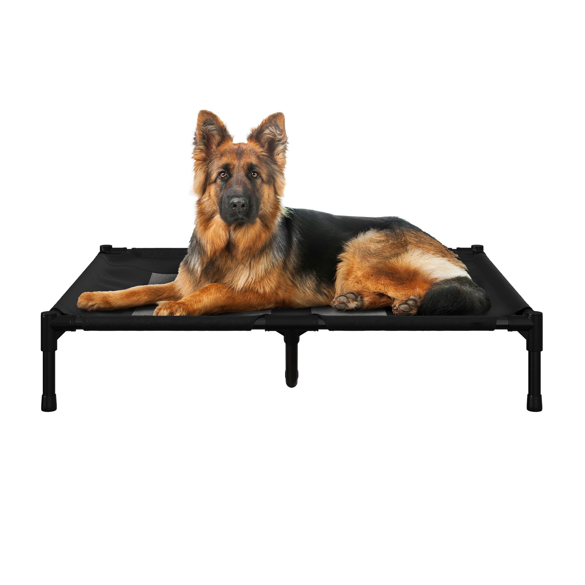 Pet Adobe Elevated Dog Bed, 36" L X 30" W X 7" H, Black