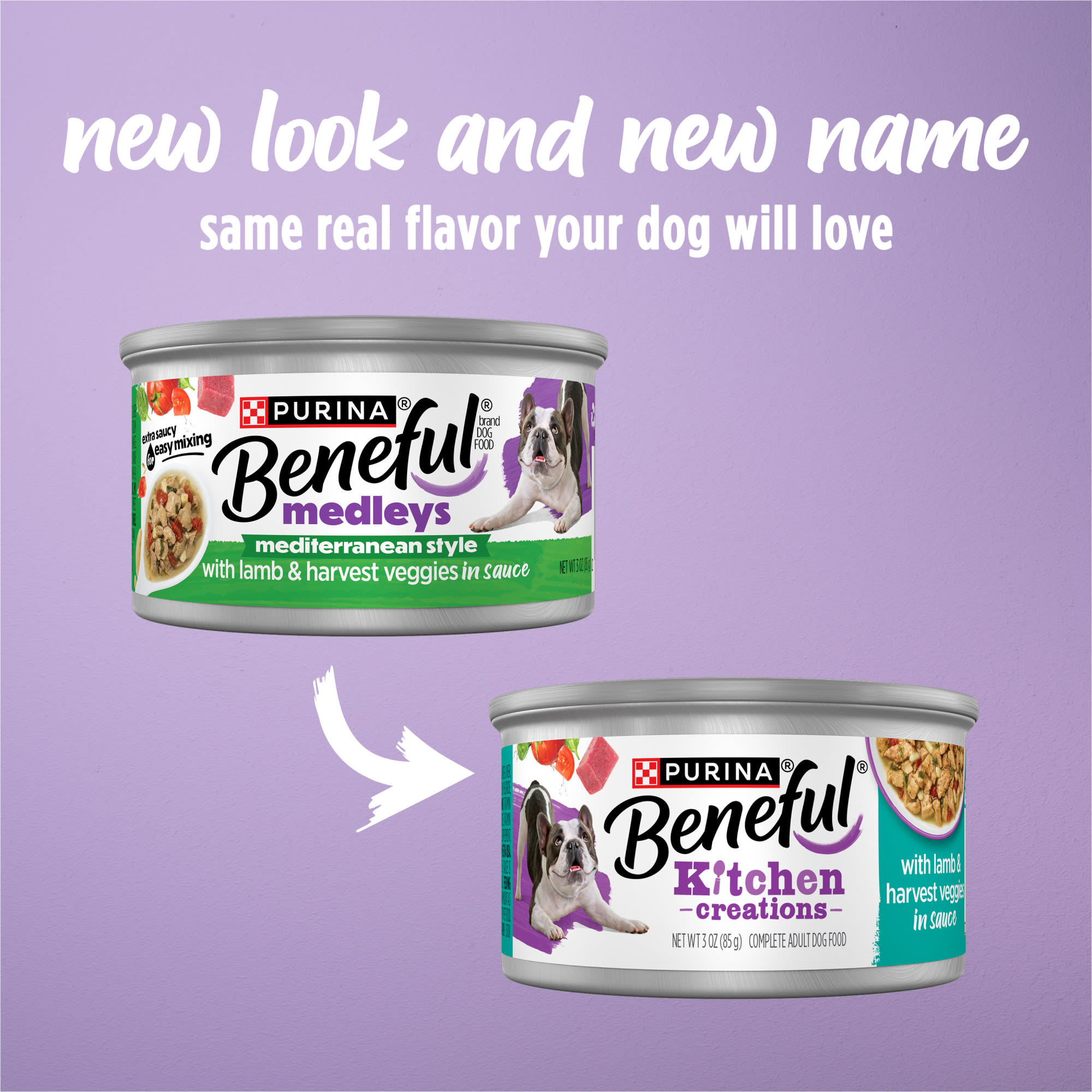 【訳あり】 CANIN 流動食 4本パック＋3本 Purina Beneful Medleys Mediterranean Style with Lamb in Sauce Wet