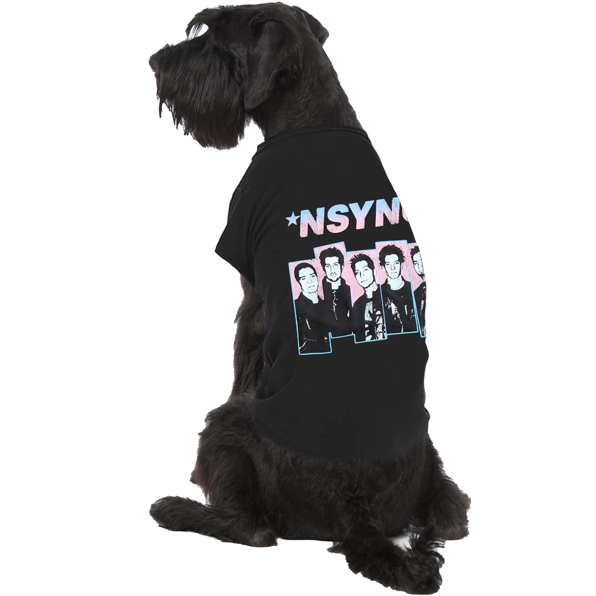 Buttercup Dogs That Rock NSYNC Dog Tee X Small Black