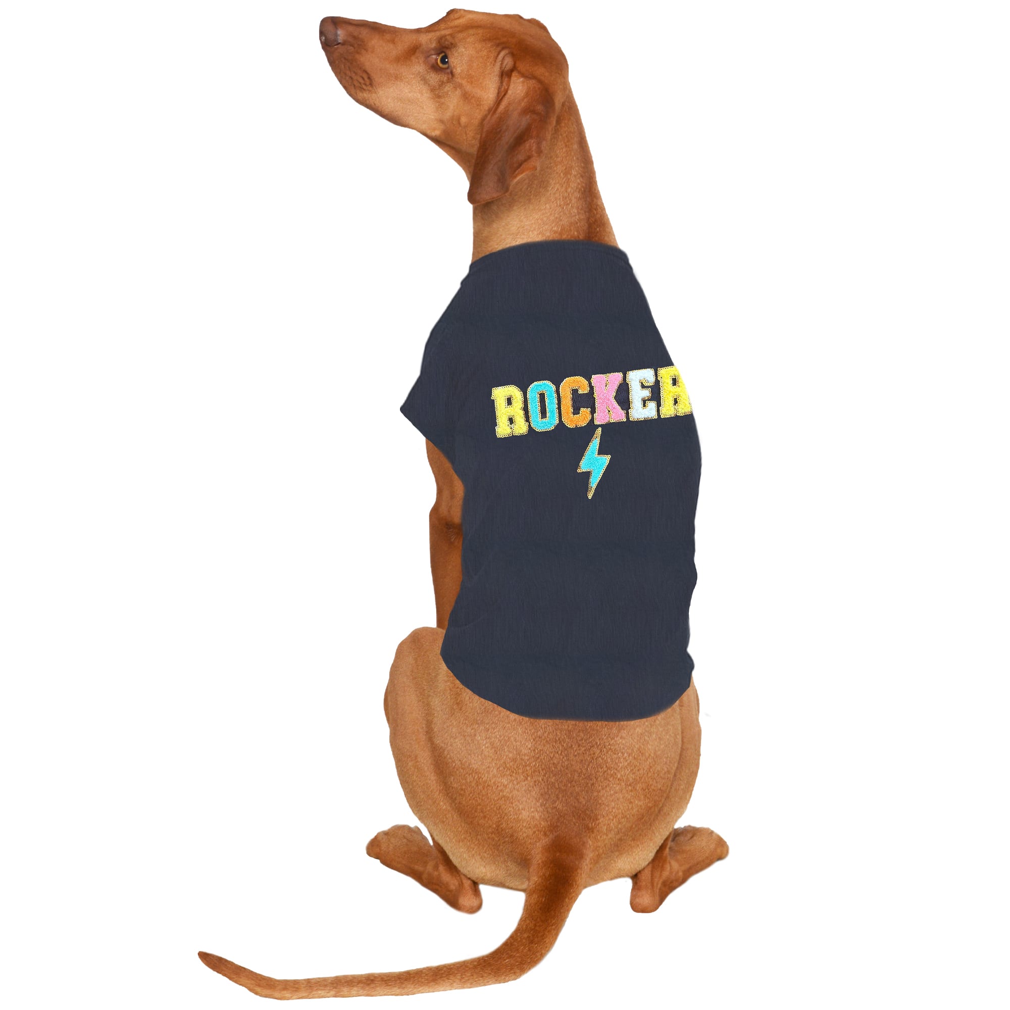 Buttercup Dogs That Rock ROCKER Dog Tee, X-Small, Black | Petco