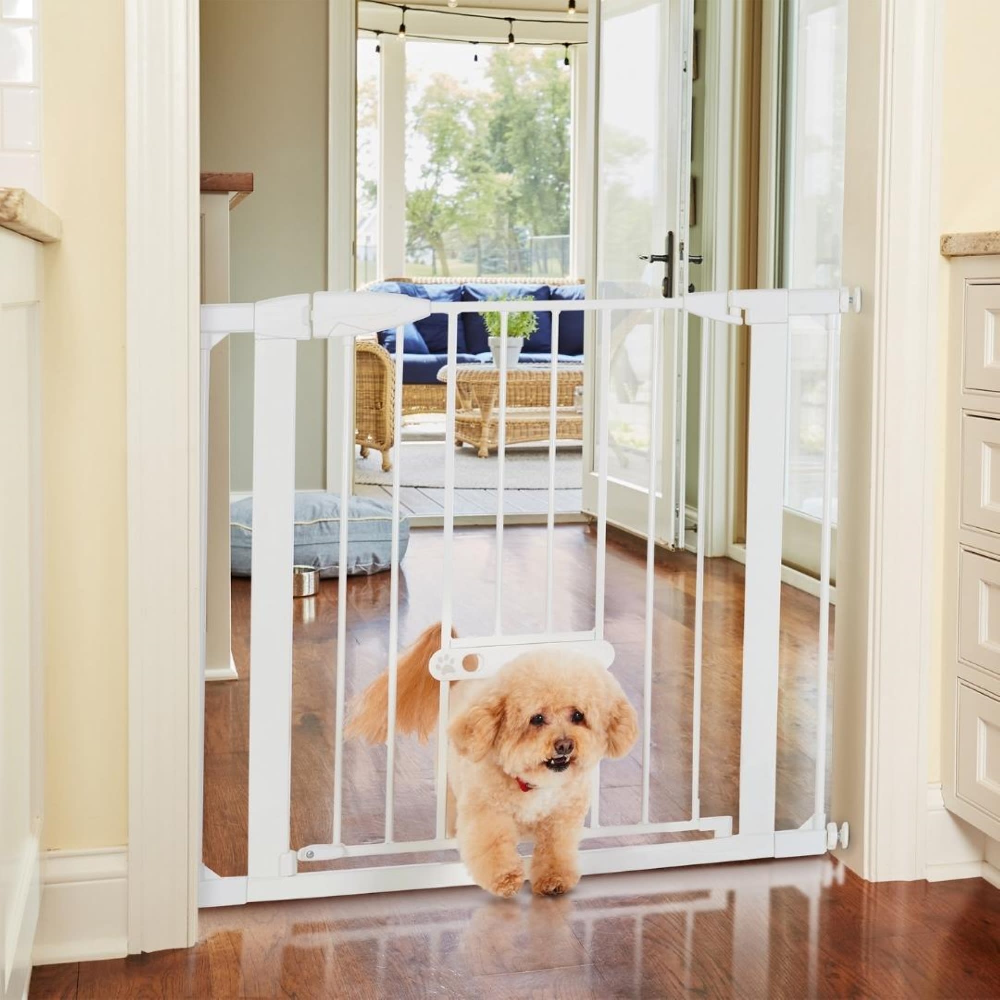 MyPet Wide Walk Thru EasyPass Pet Gate | Petco