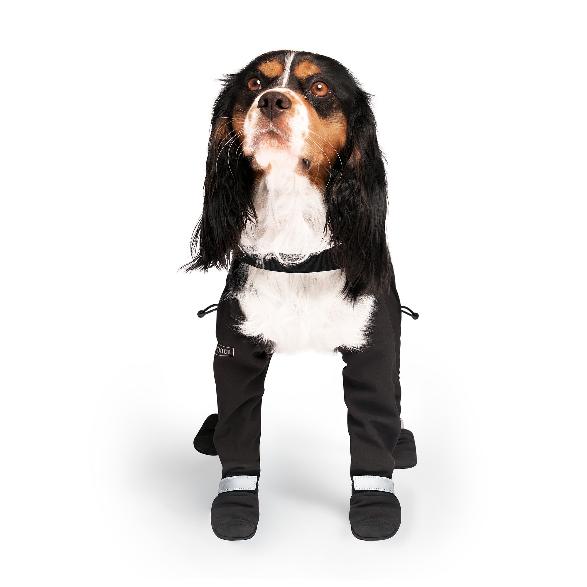 Canada Pooch Suspender Boots for Dogs 1 Black Petco