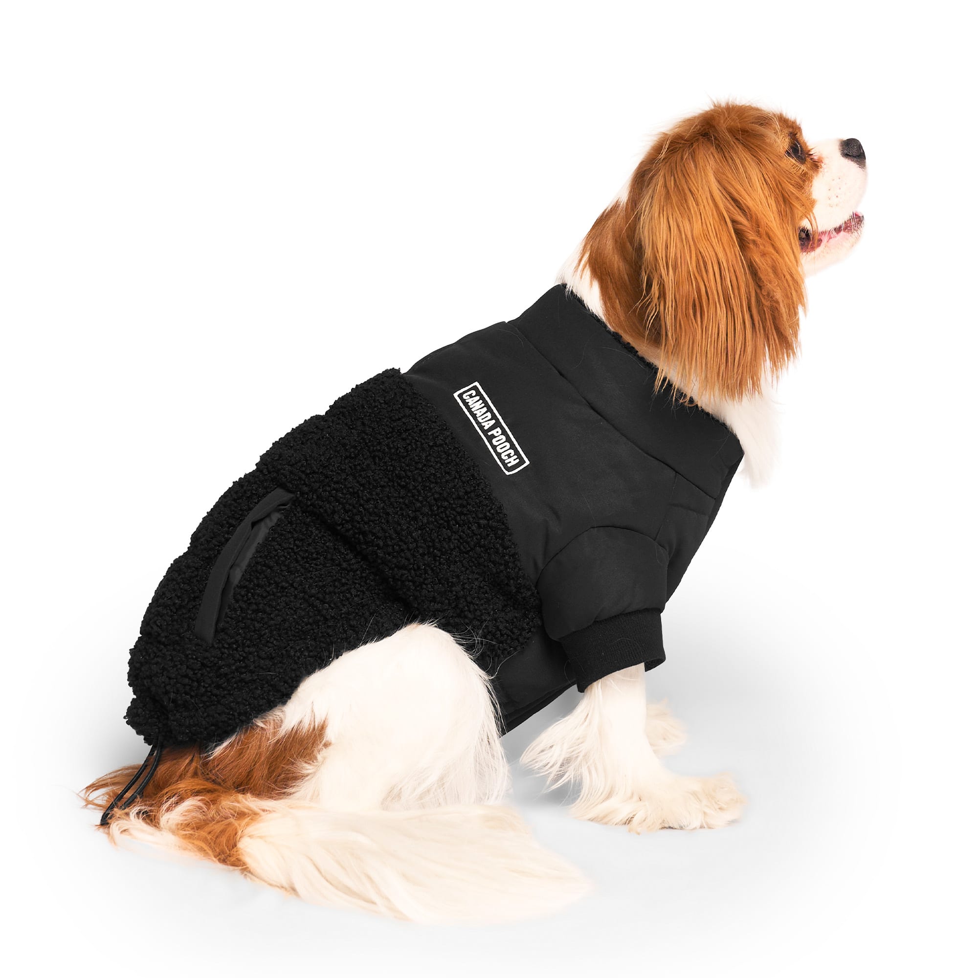 Canada Pooch Cool Factor Puffer Jacket for Dogs, 8, 3X-Small, Tan