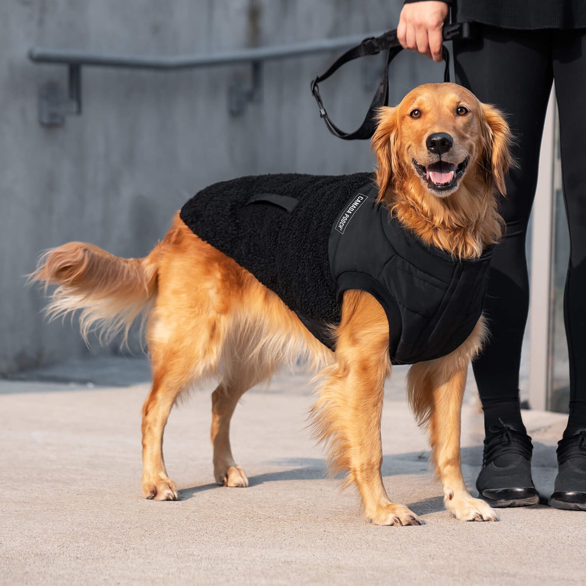 Soft Fleece Canada Pooch Winter Wilderness Jacket Canada Pooch