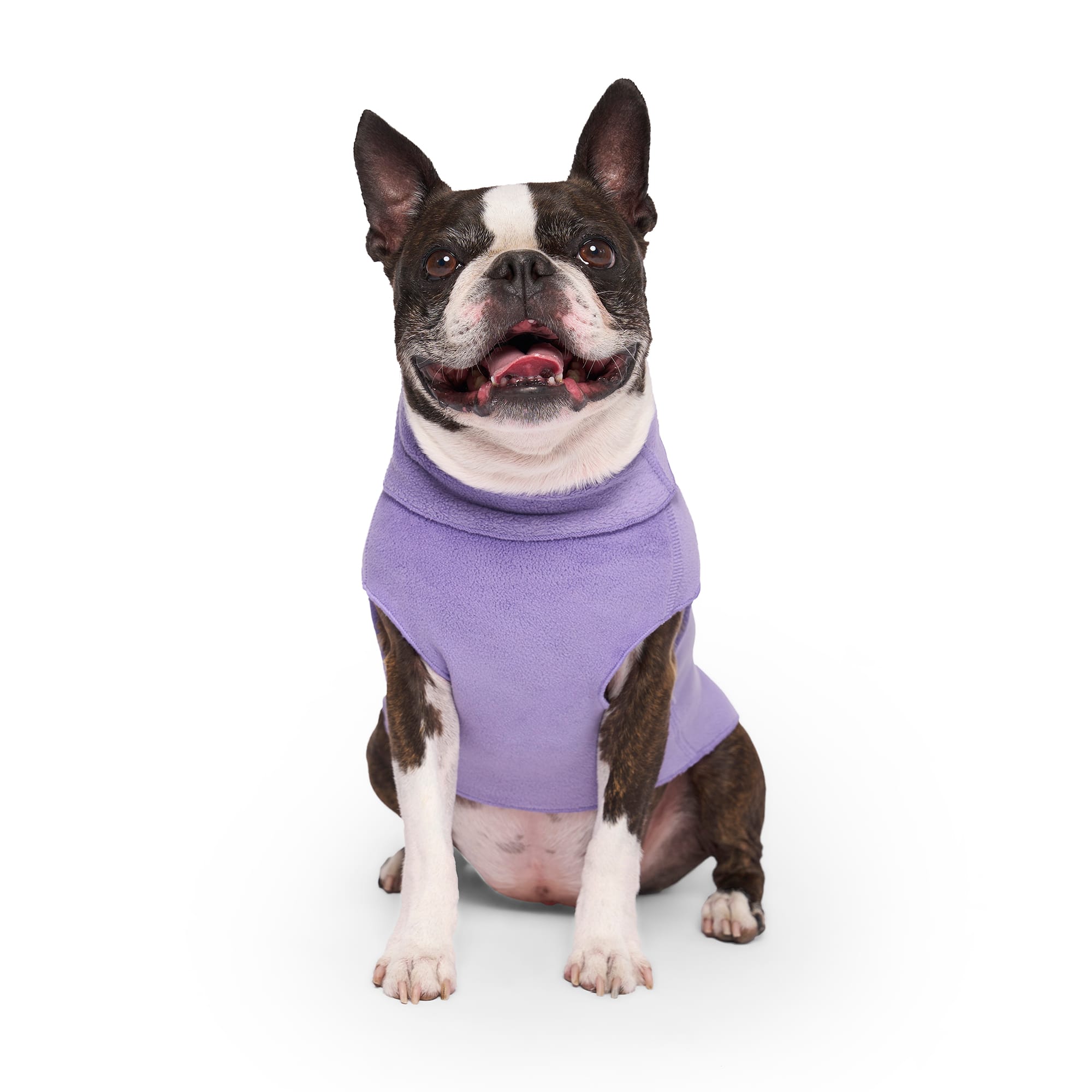 Stretch Purple Harness outlet